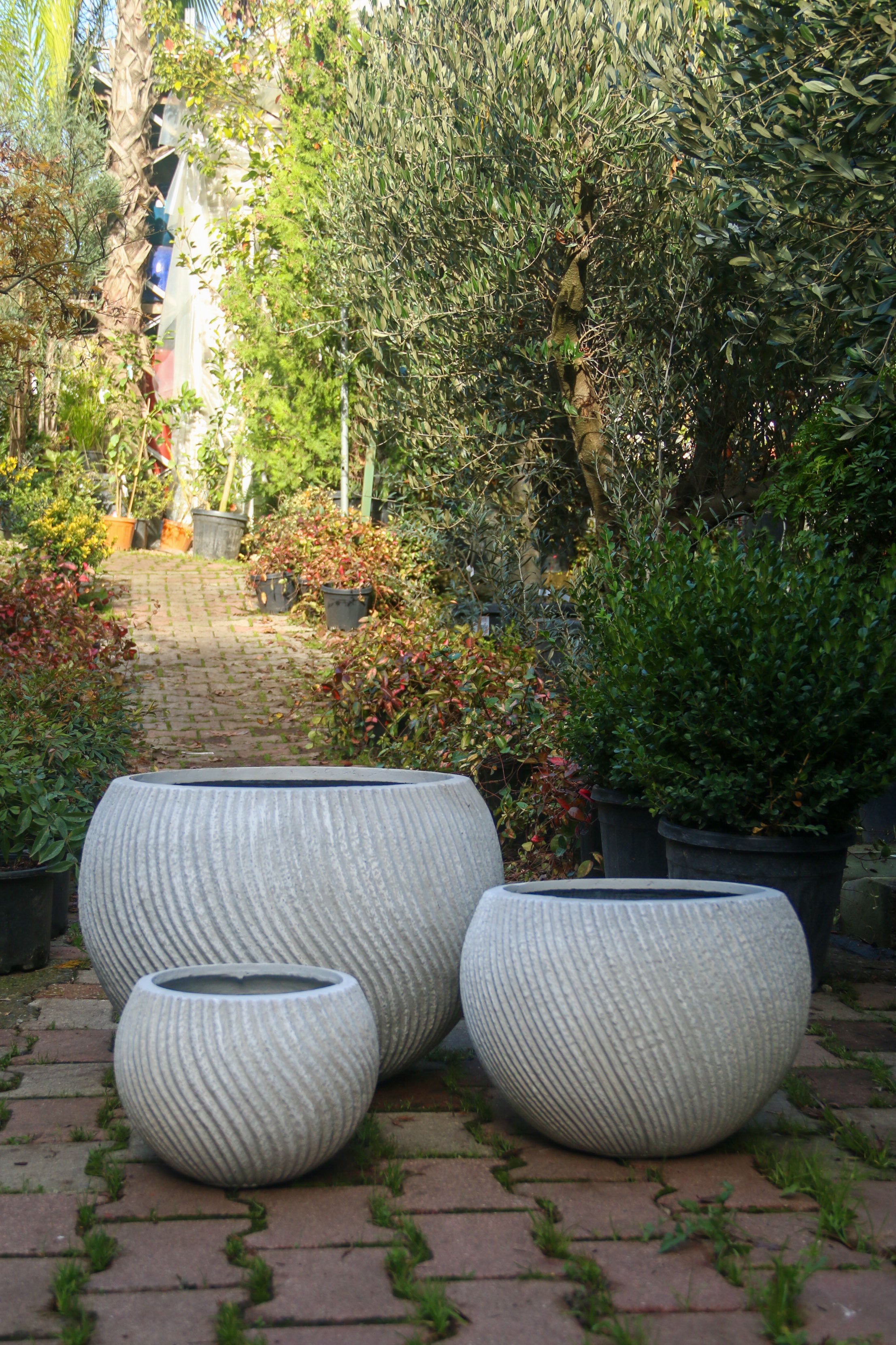 Newcastle Fiberstone Saksı Yayvan