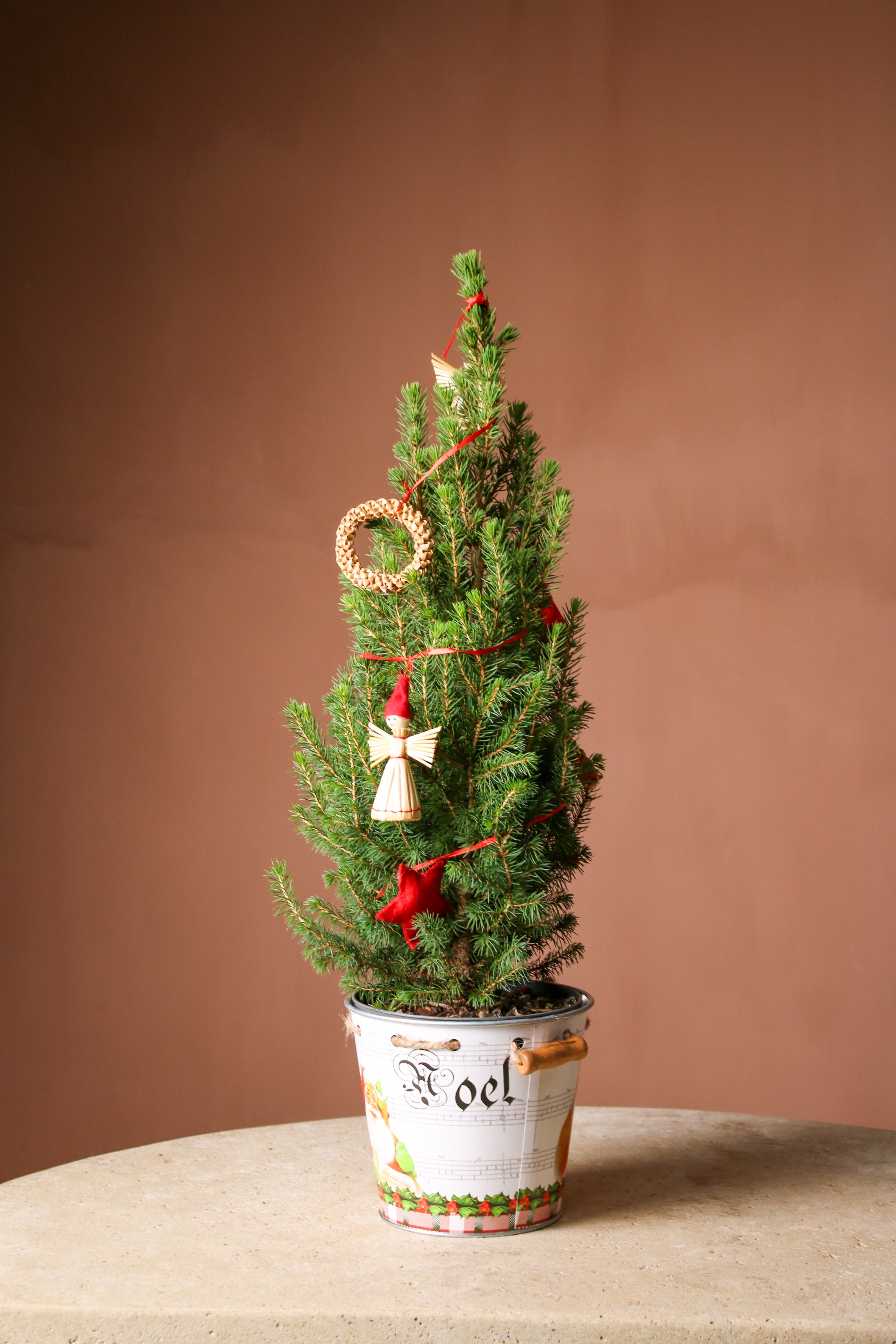 Yılbaşı çamı Süslü (Picea)