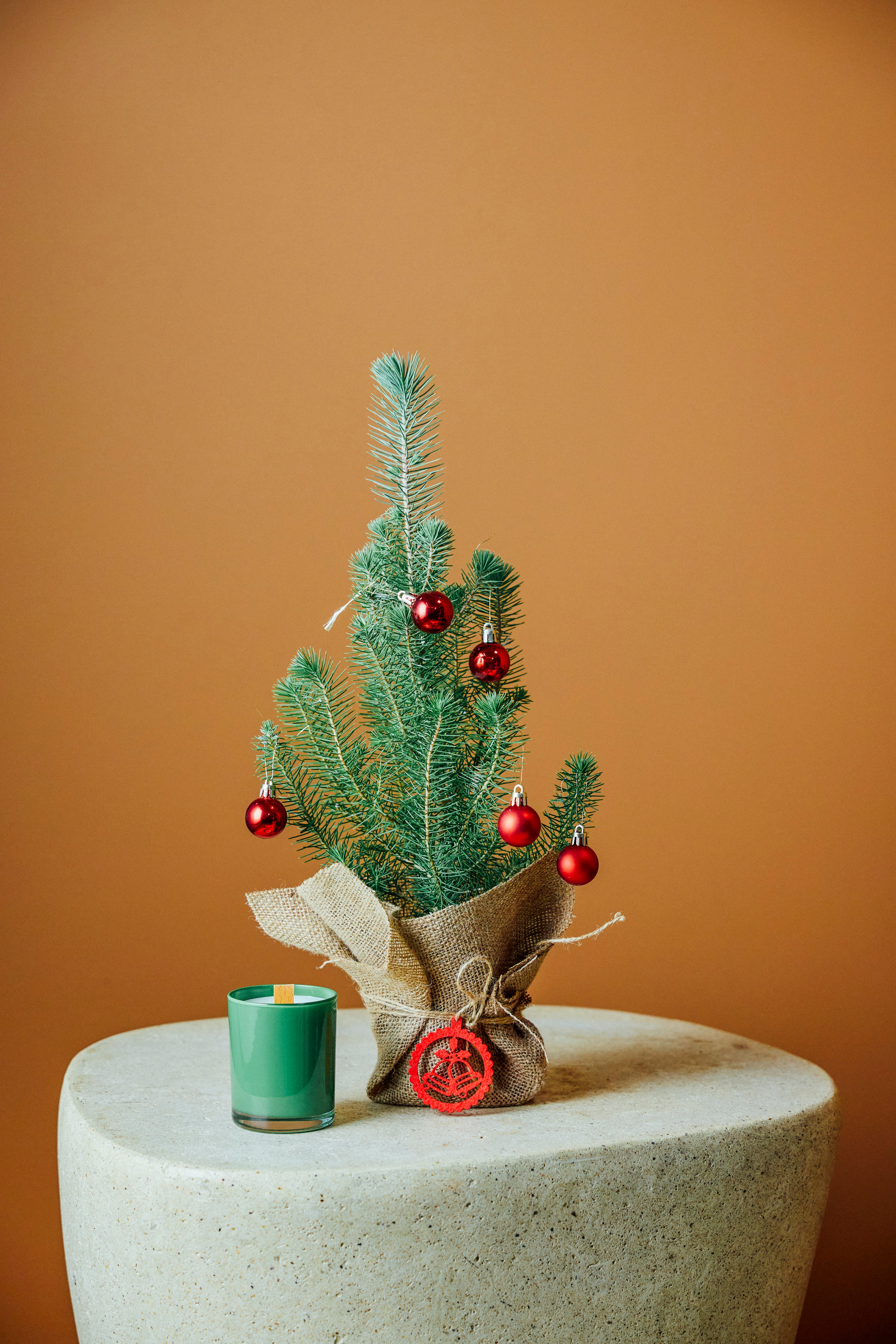 Santa (Yılbaşı çamı ve mum)