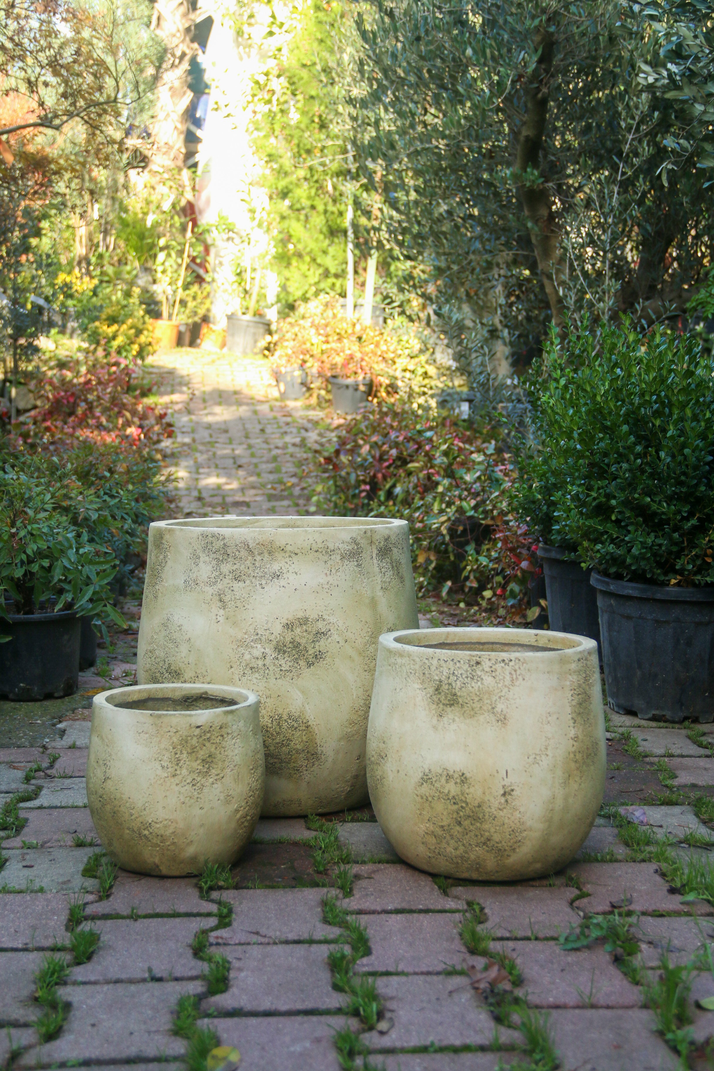 Dallas Fiberstone Saksı