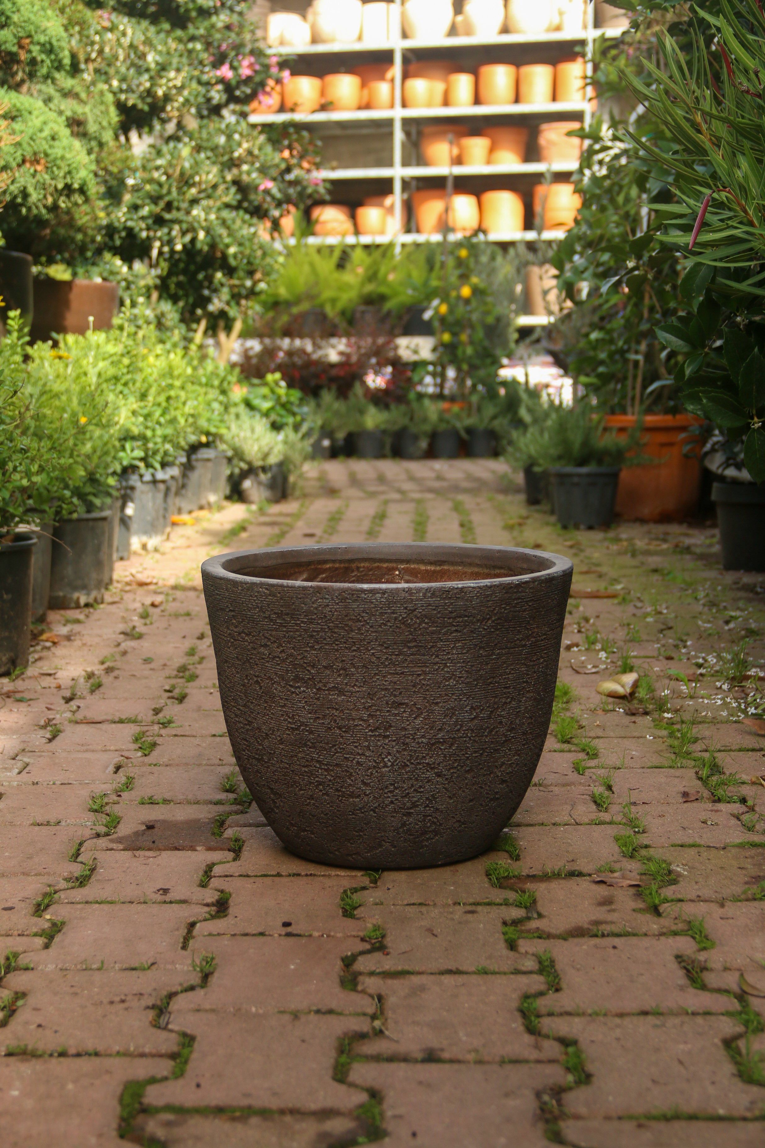 Darwin Fiberstone Saksı Kahve