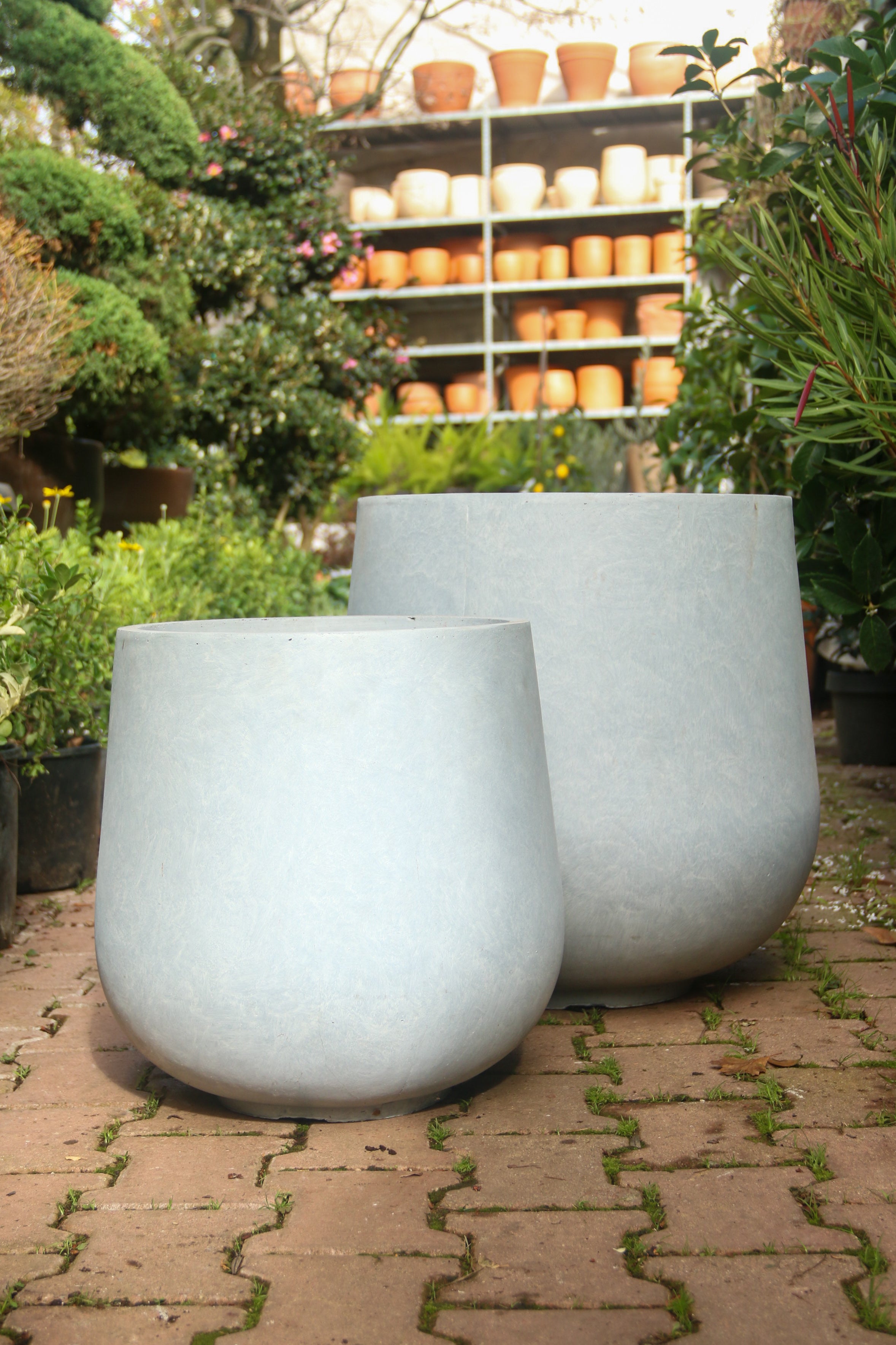 Liverpool Fiberstone Saksı Pax