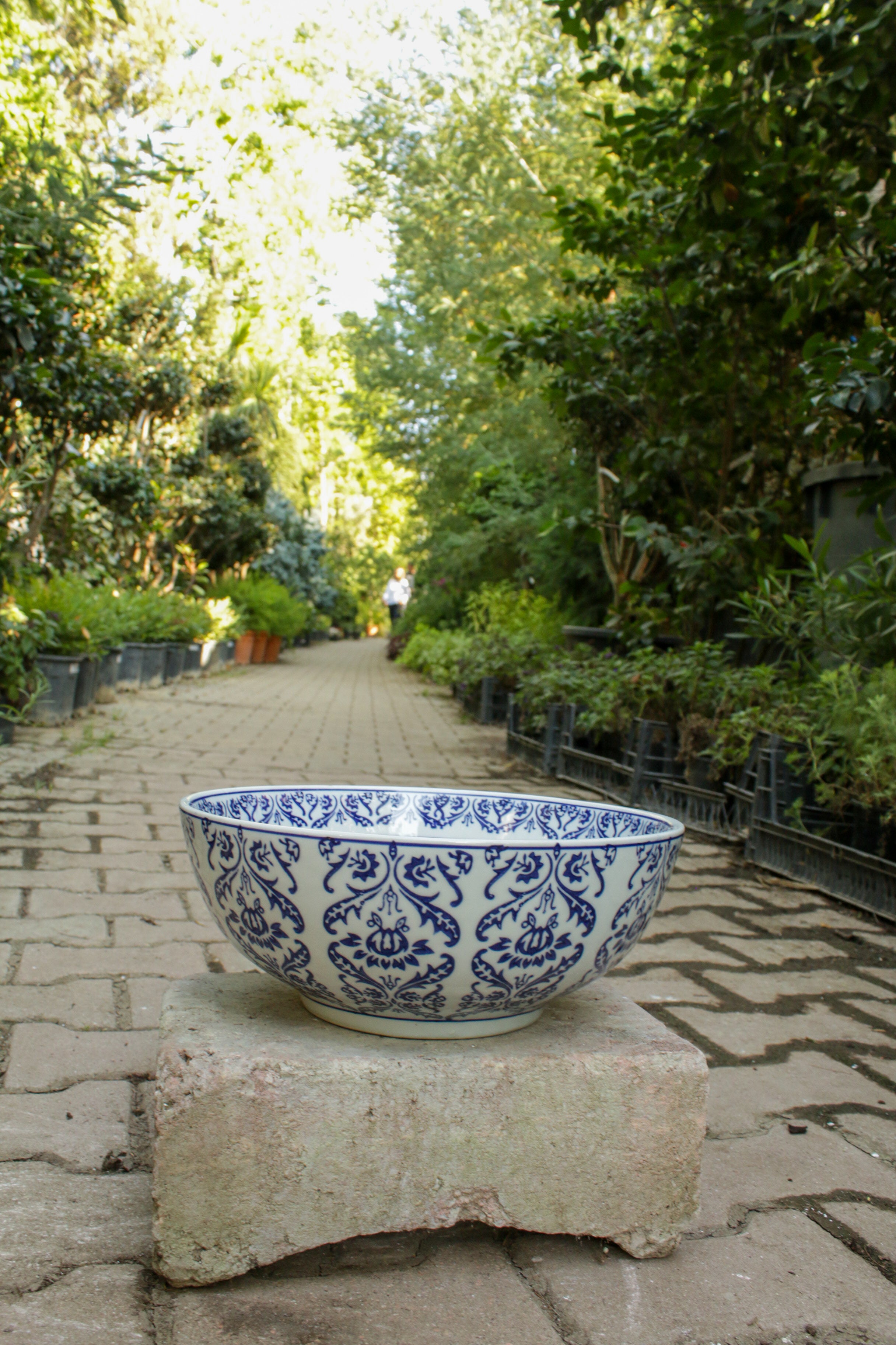 Bleu Blanc Saksı 03