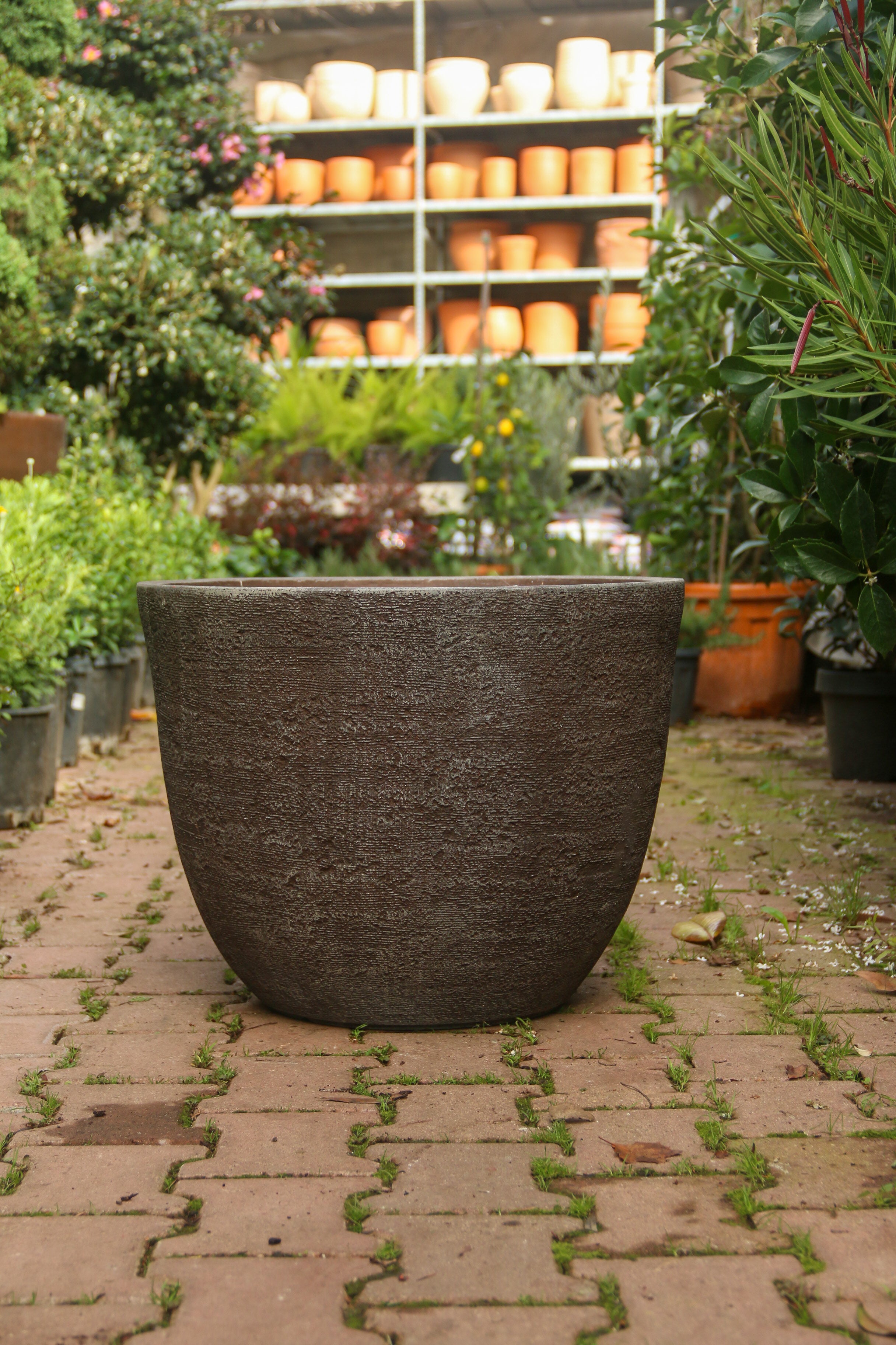 Darwin Fiberstone Saksı Kahve