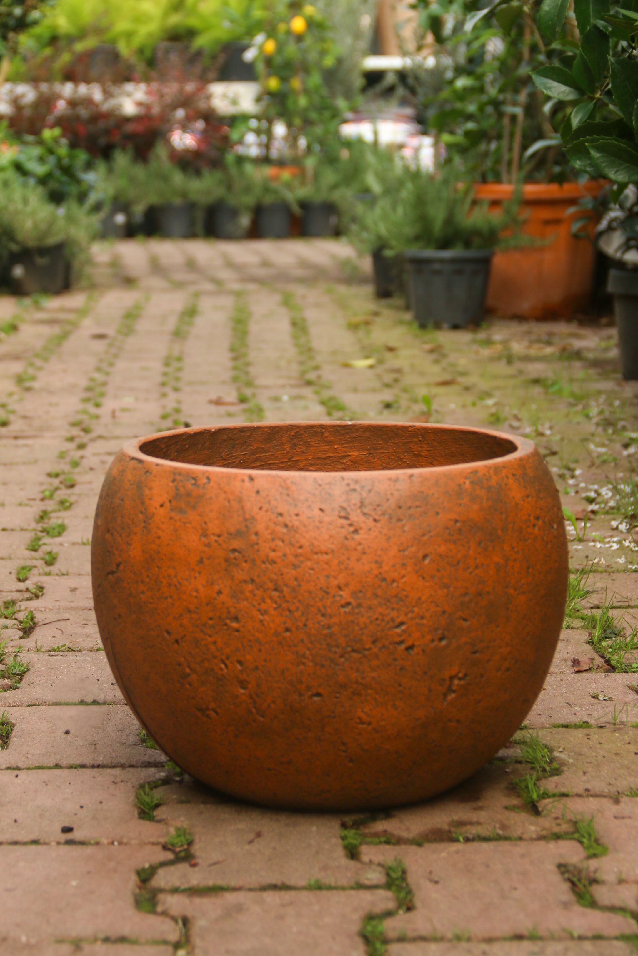 Beaumont Küre Fiberstone Saksı