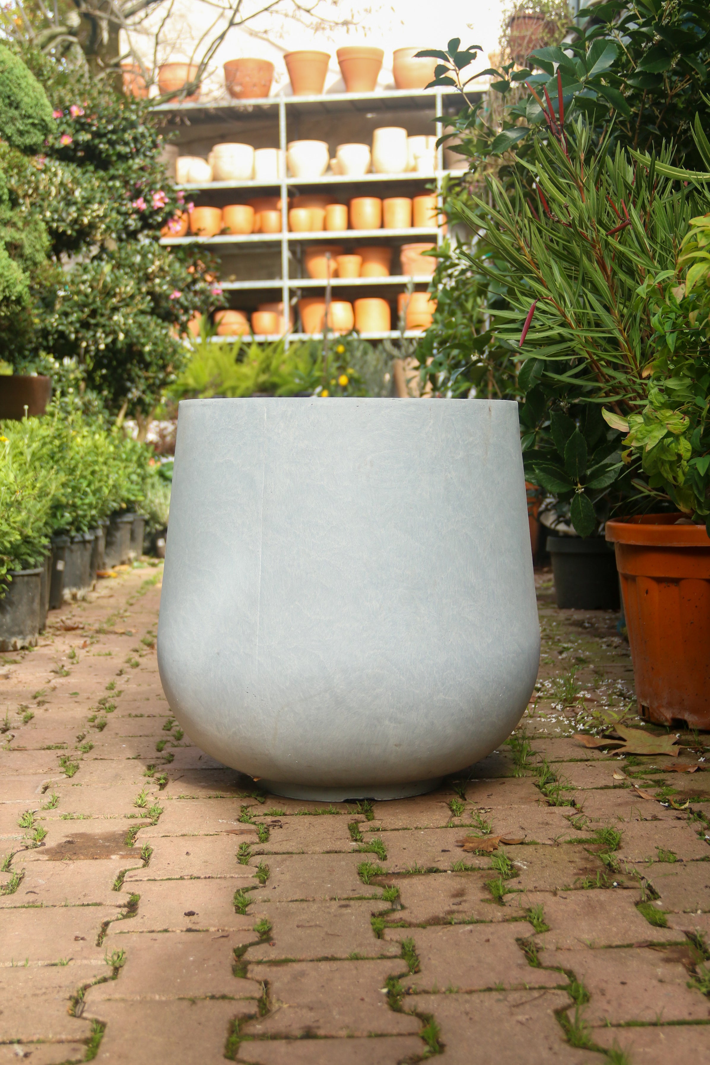 Liverpool Fiberstone Saksı Pax