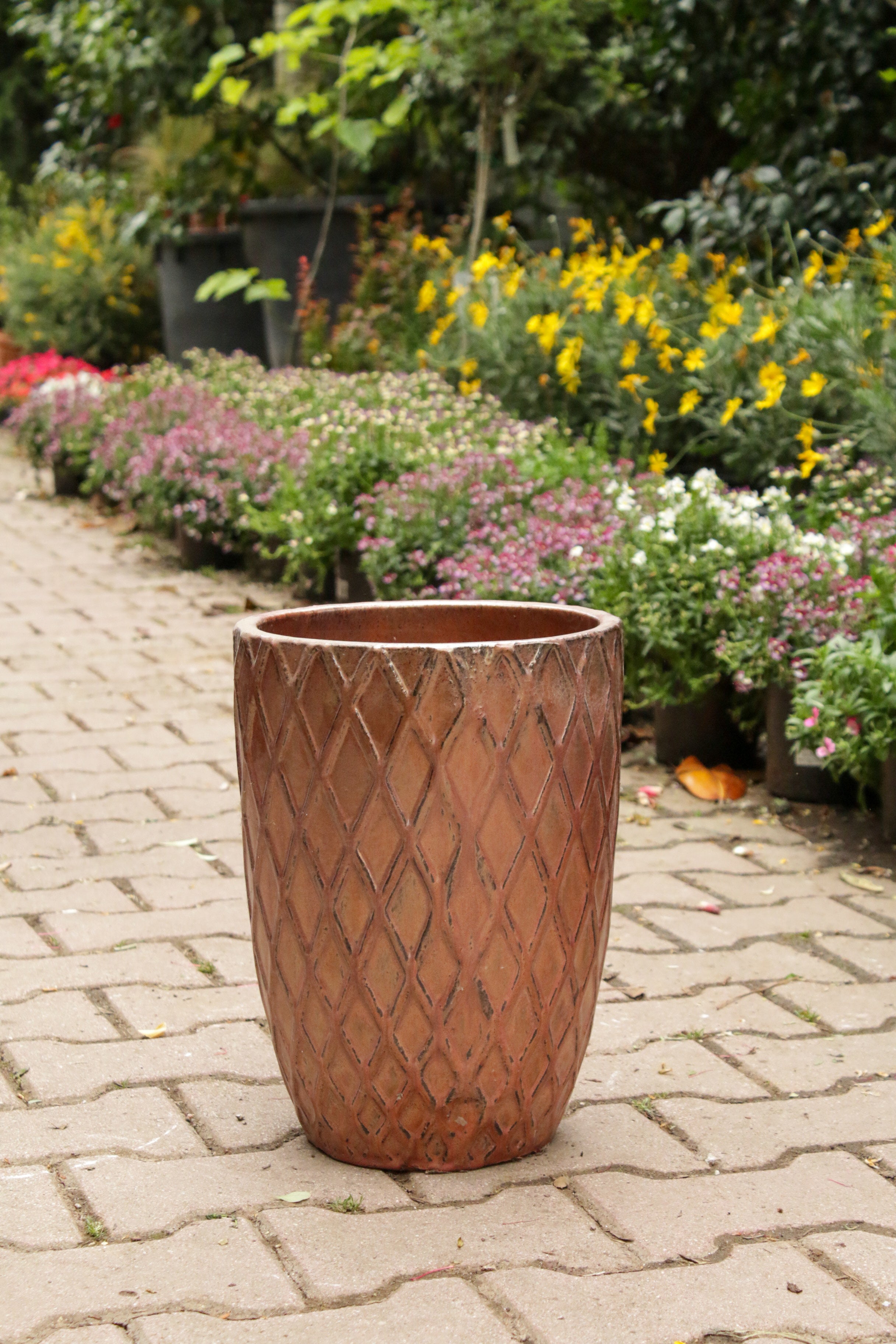 Borneo Saksı (Bronz)
