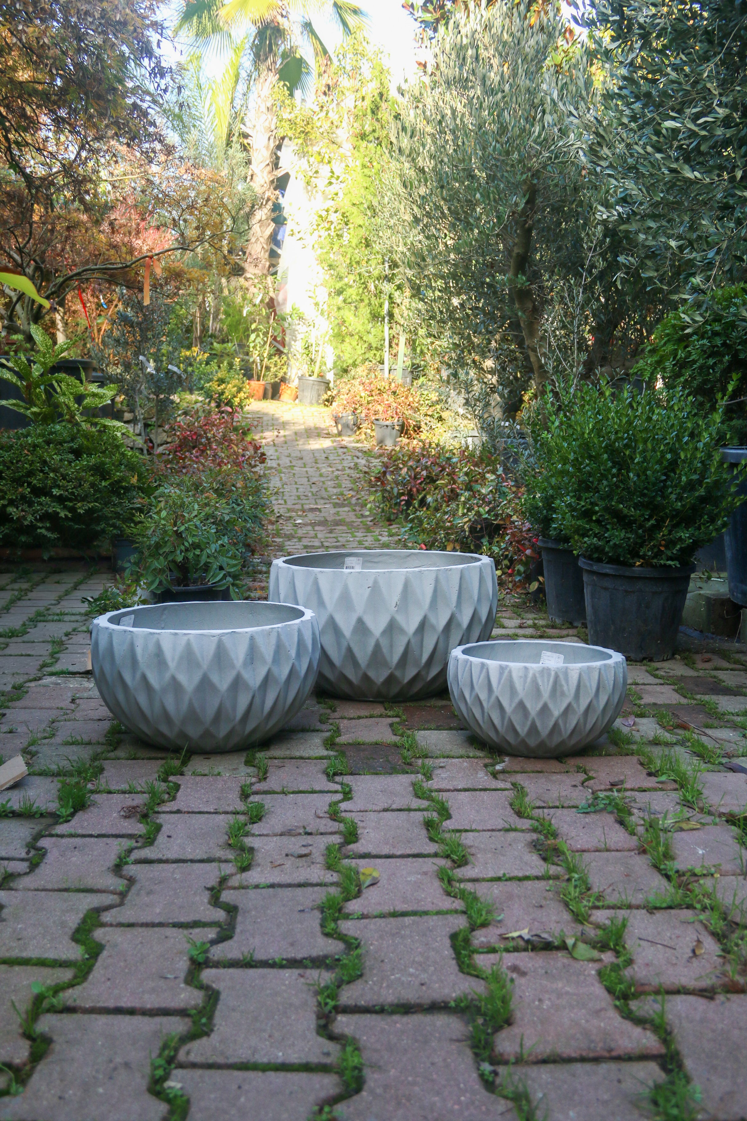 Ontario Fiberstone Saksı Yayvan