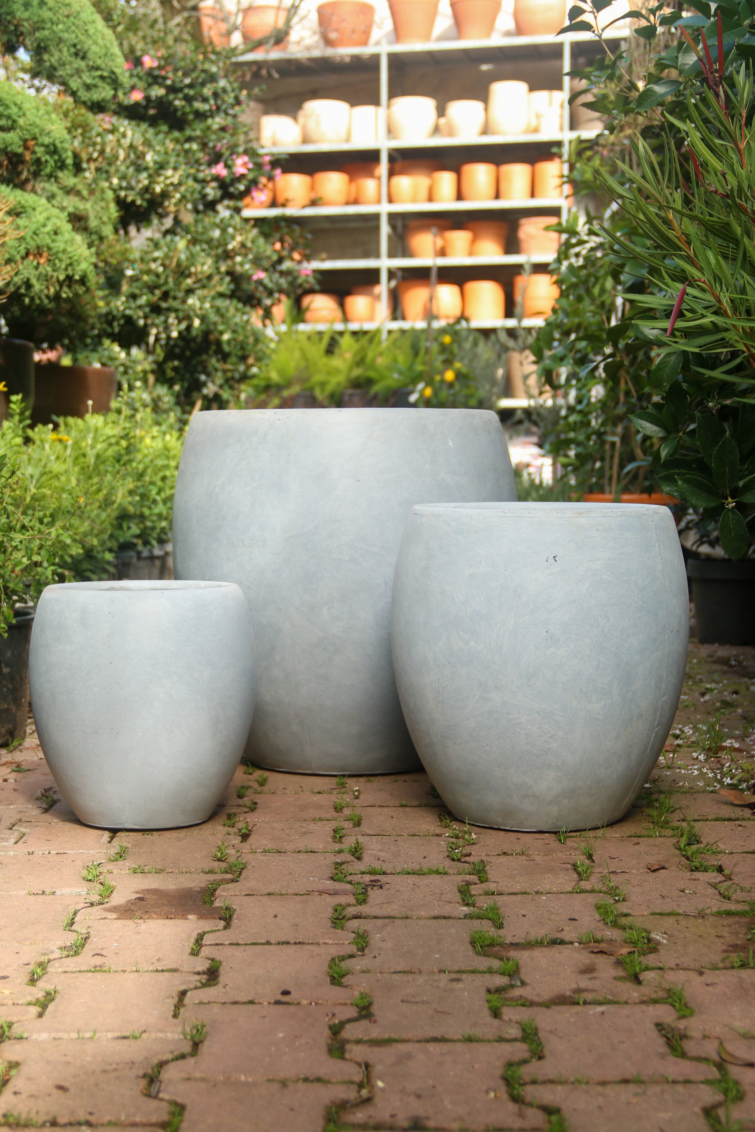 Liverpool Fiberstone Saksı Bond