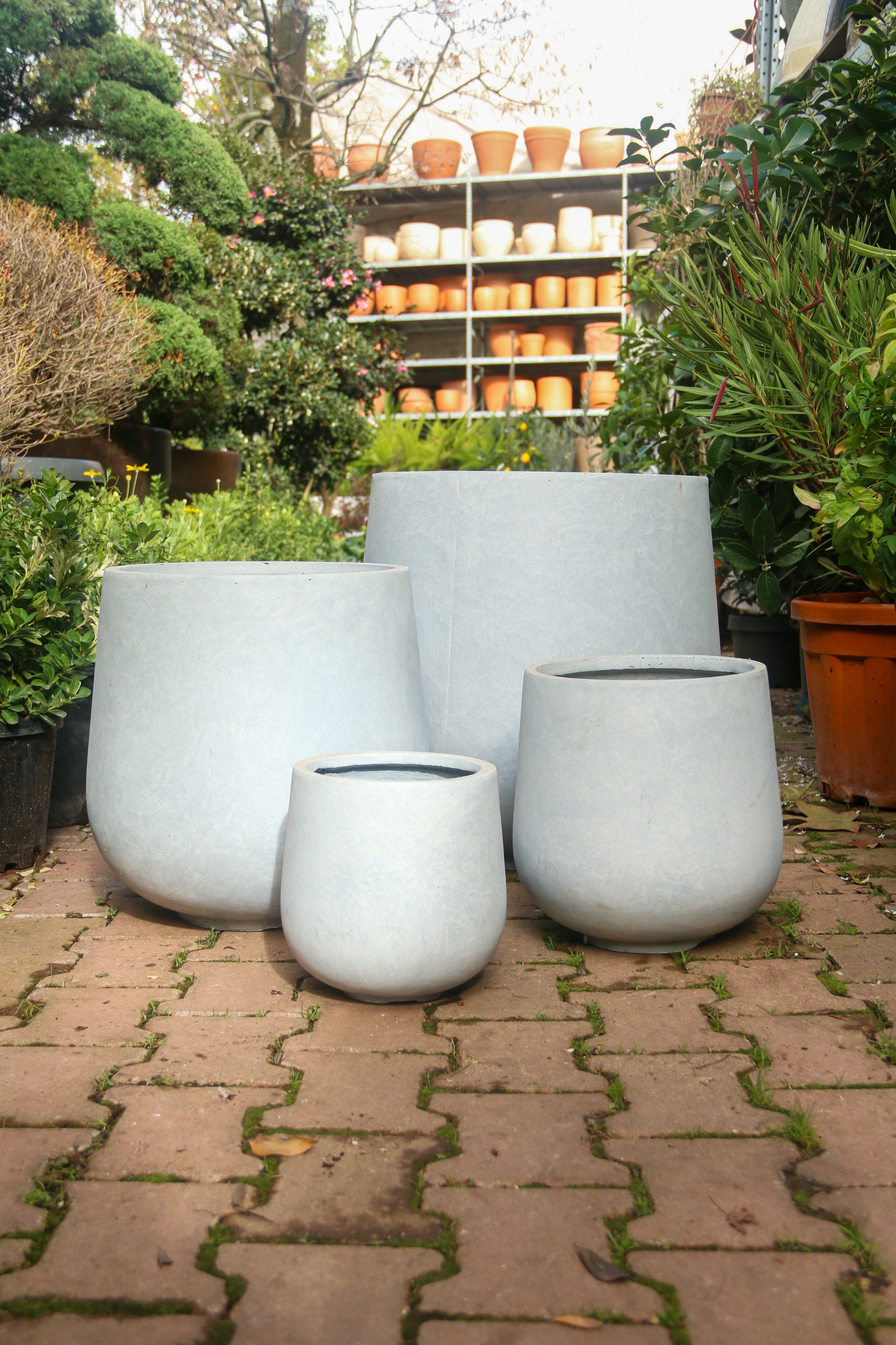 Liverpool Fiberstone Saksı Pax