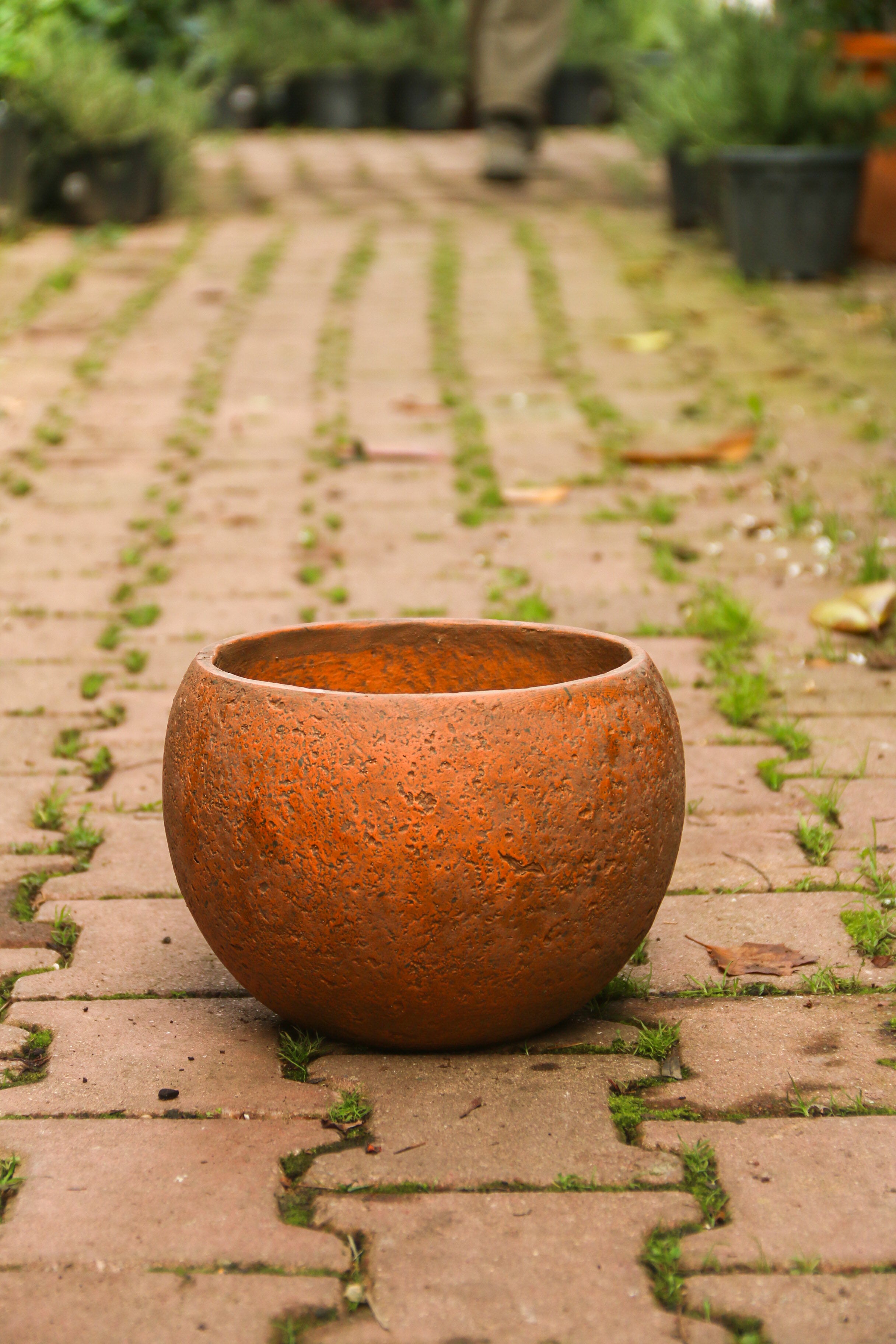 Beaumont Küre Fiberstone Saksı