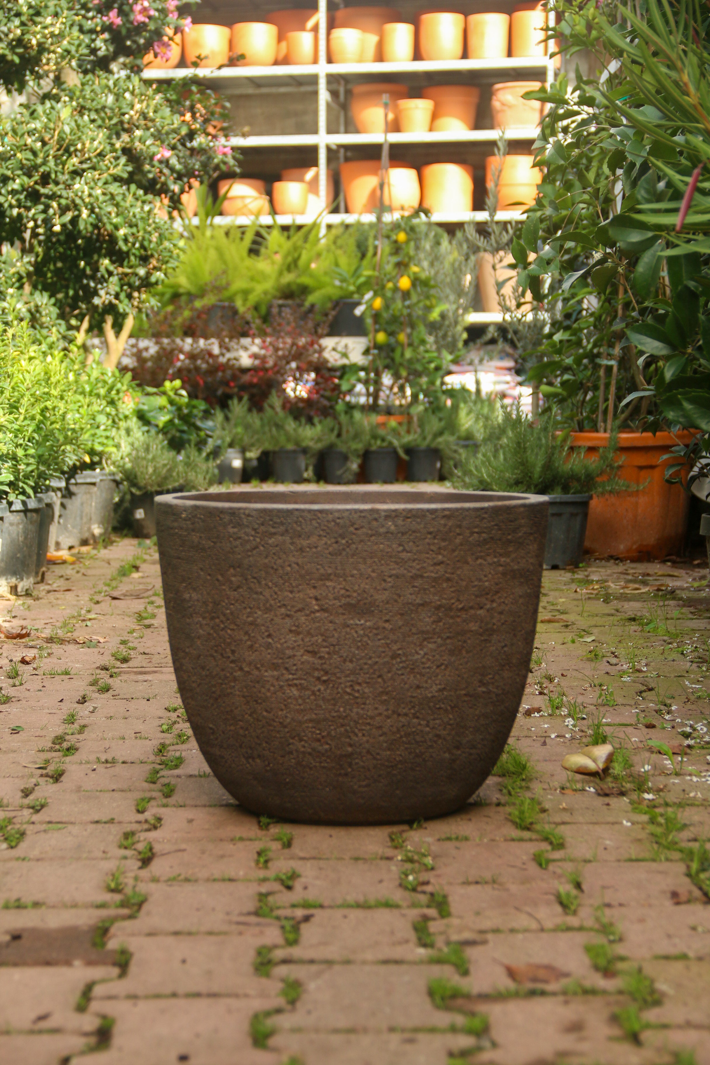 Darwin Fiberstone Saksı Kahve