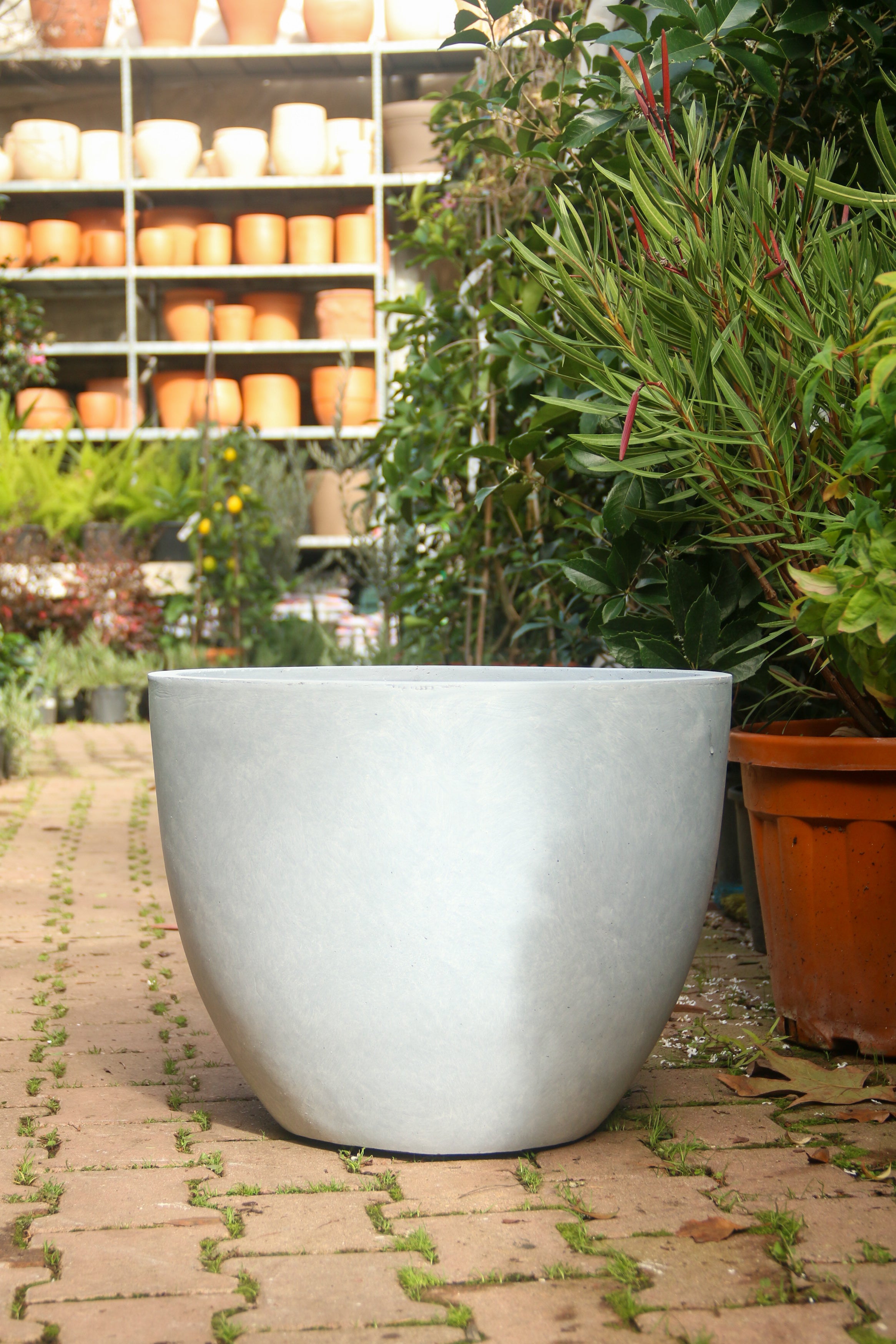 Liverpool Fiberstone Saksı Jesselyn