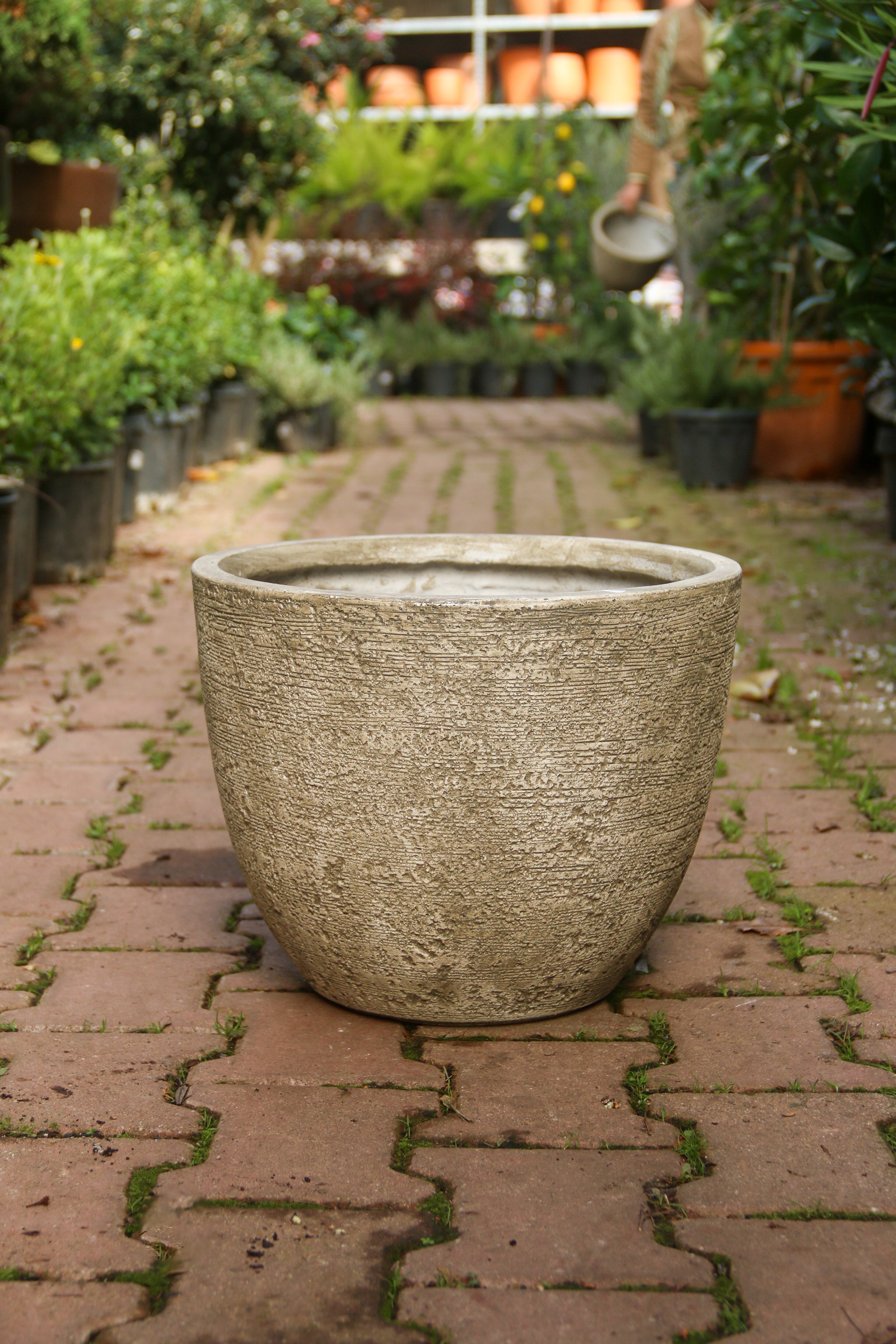 Darwin Fiberstone Saksı Bej