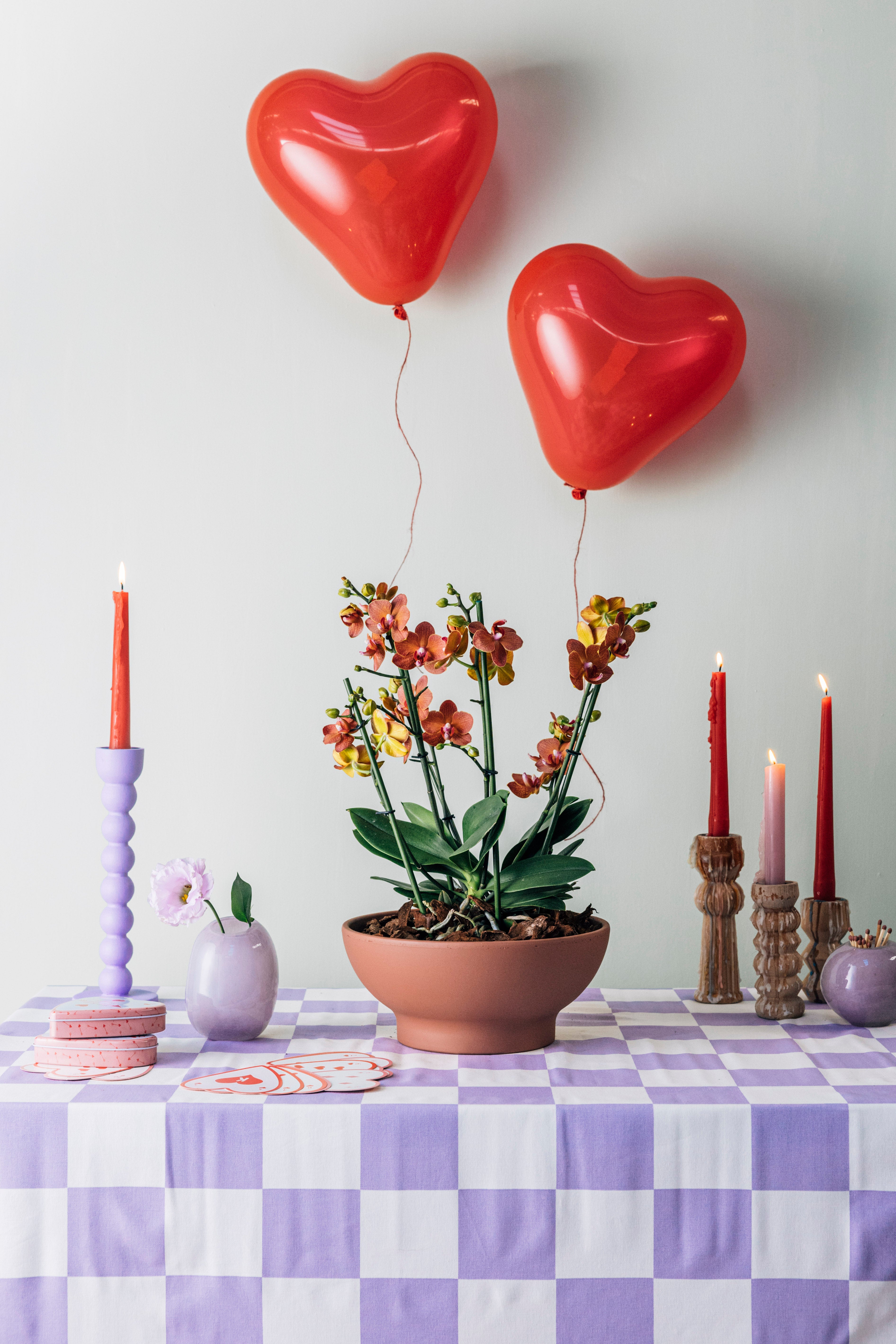 Duetto Bowl Saksılı