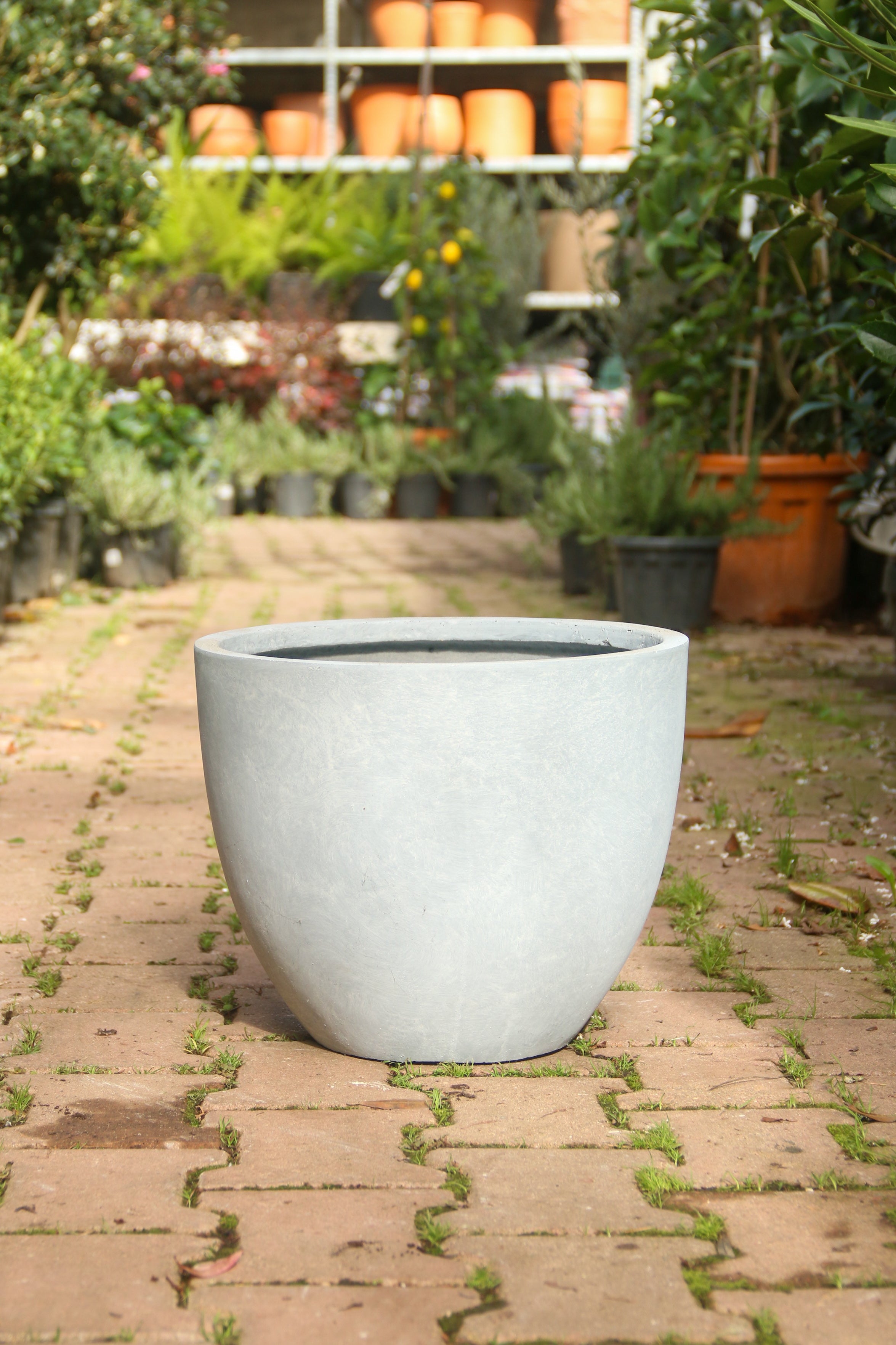 Liverpool Fiberstone Saksı Jesselyn