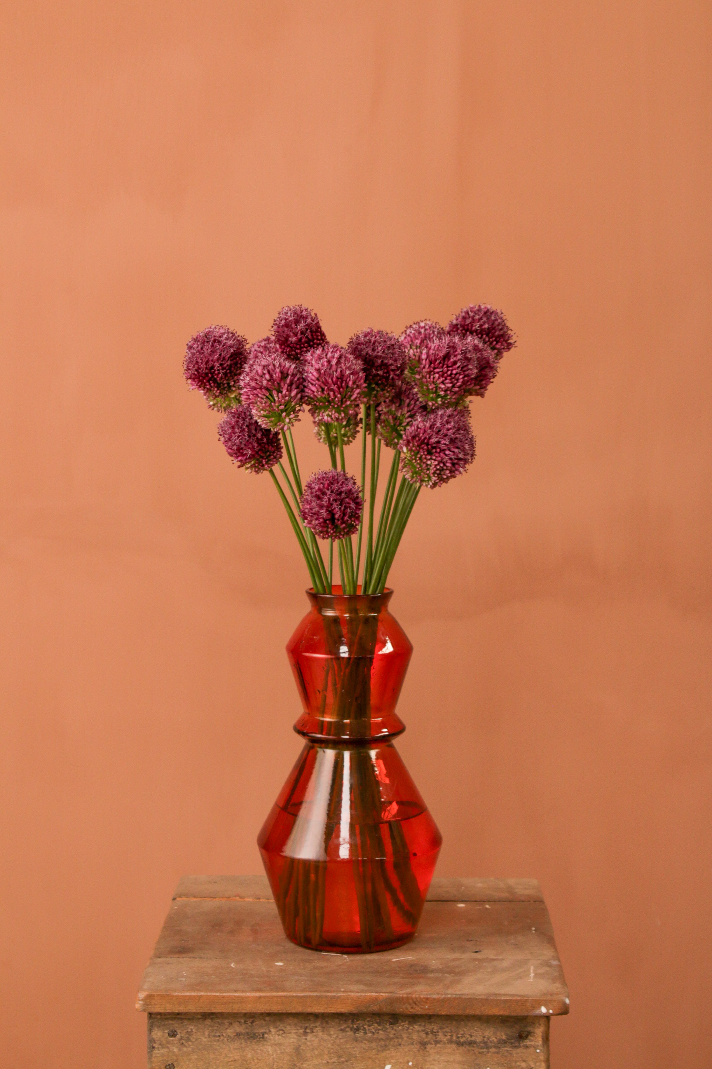 Allium Vase