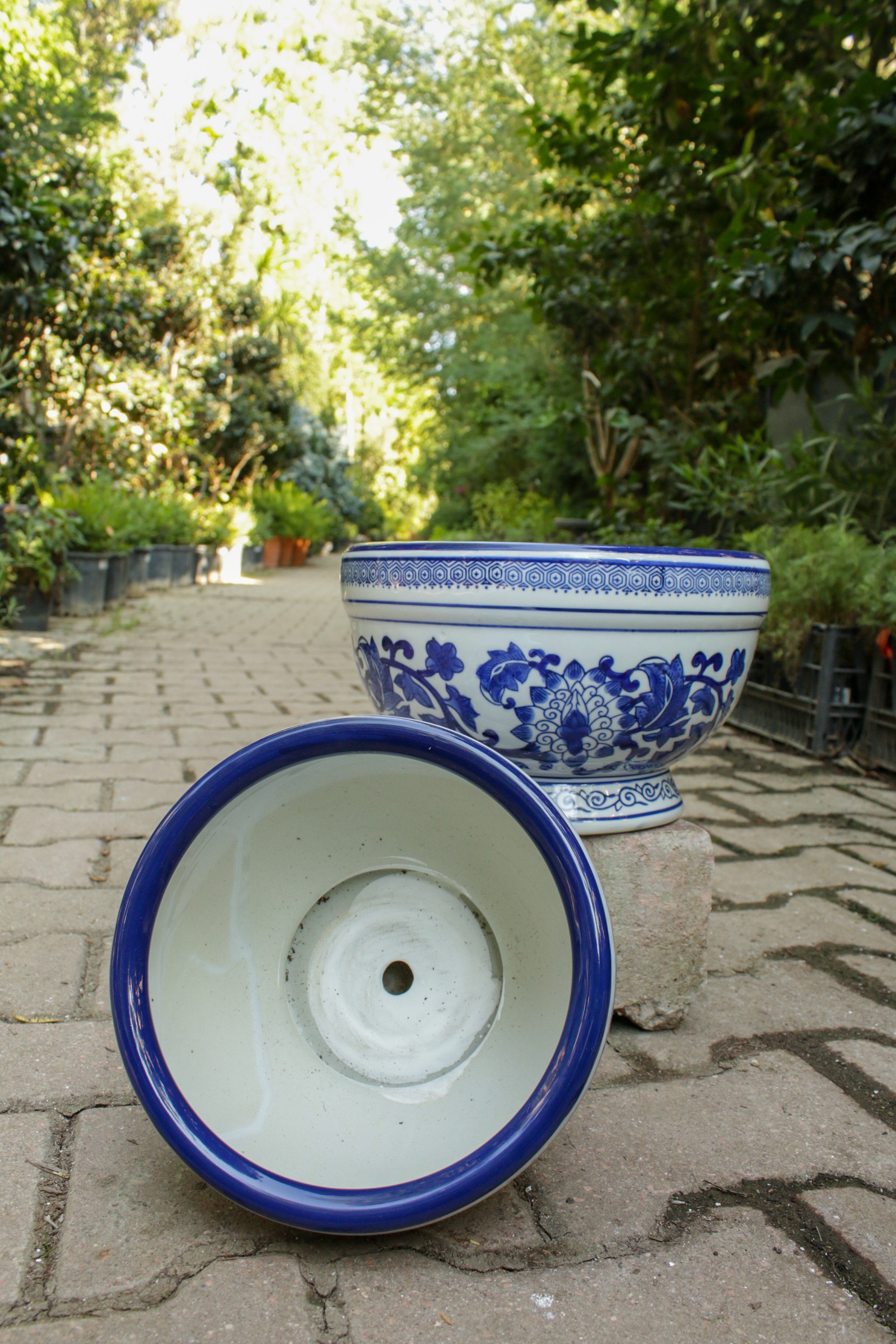 Bleu Blanc Levent Saksı
