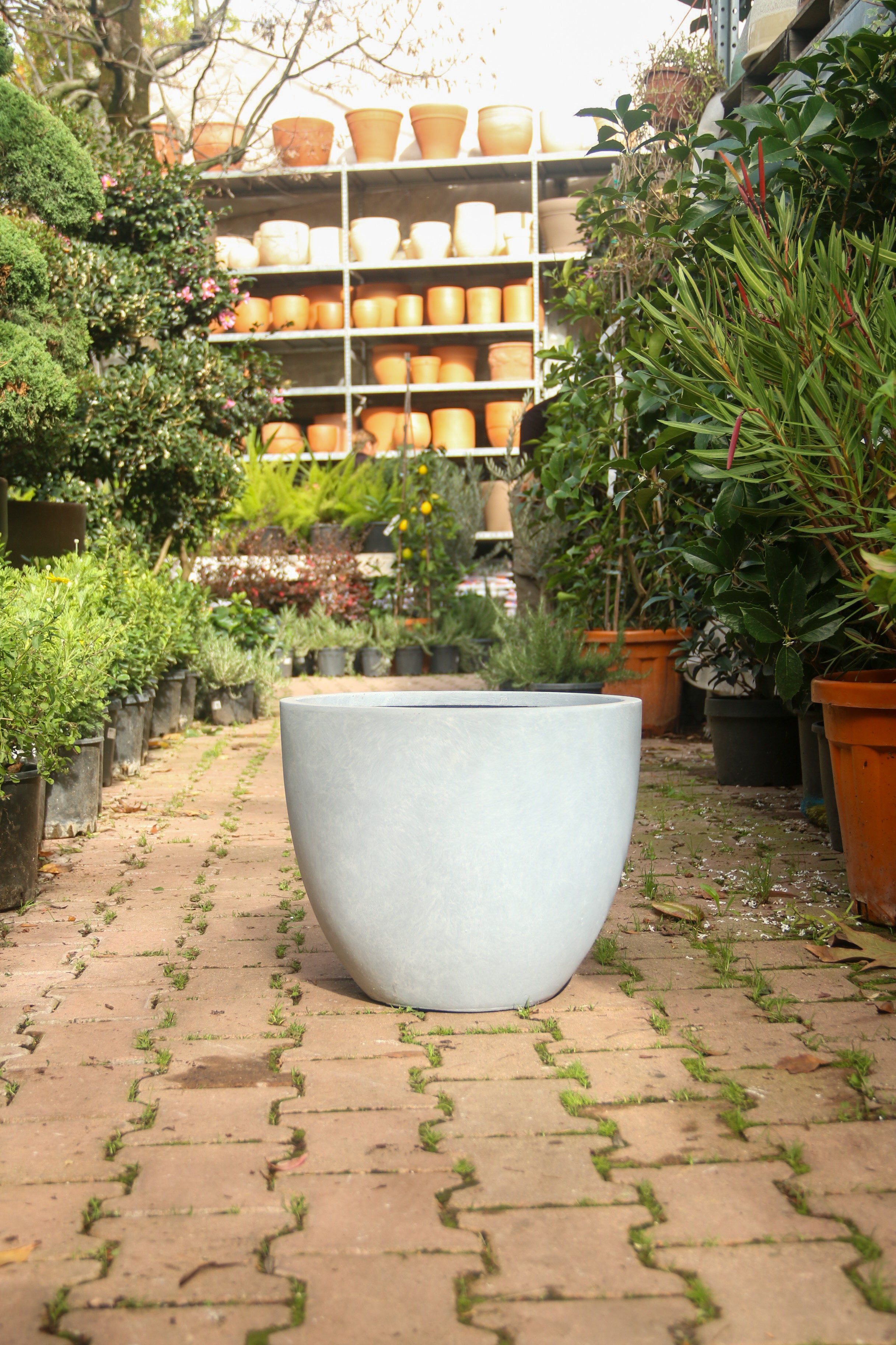 Liverpool Fiberstone Saksı Jesselyn