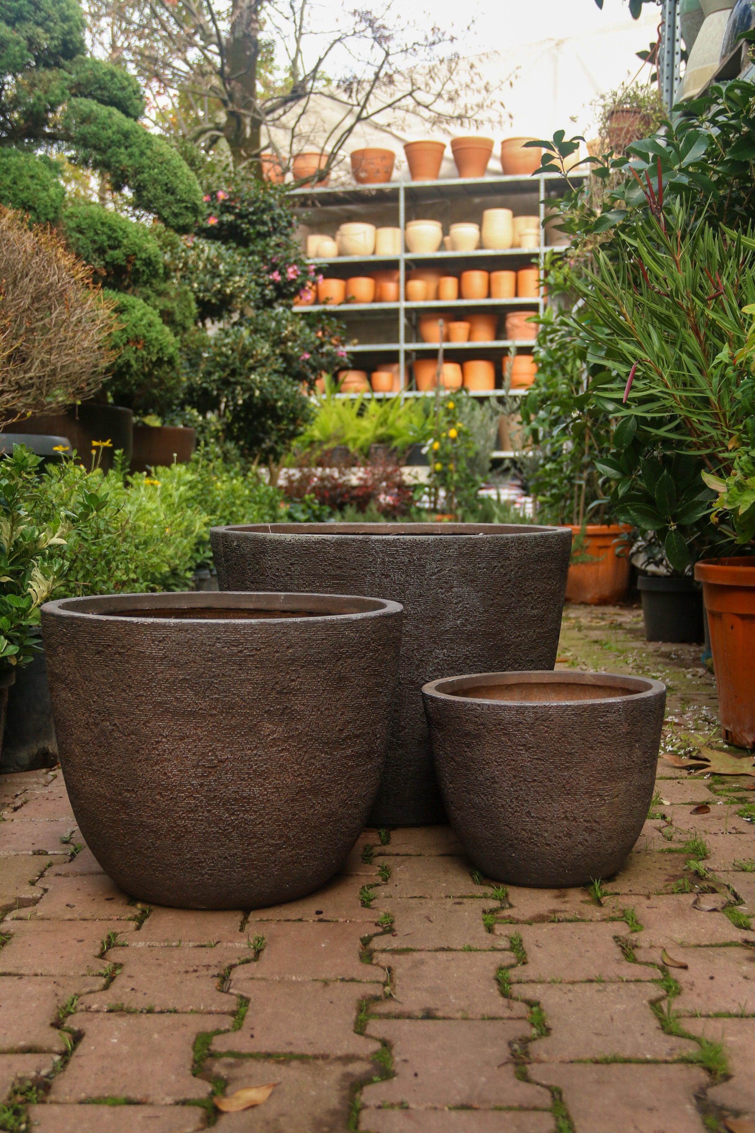 Darwin Fiberstone Saksı Kahve