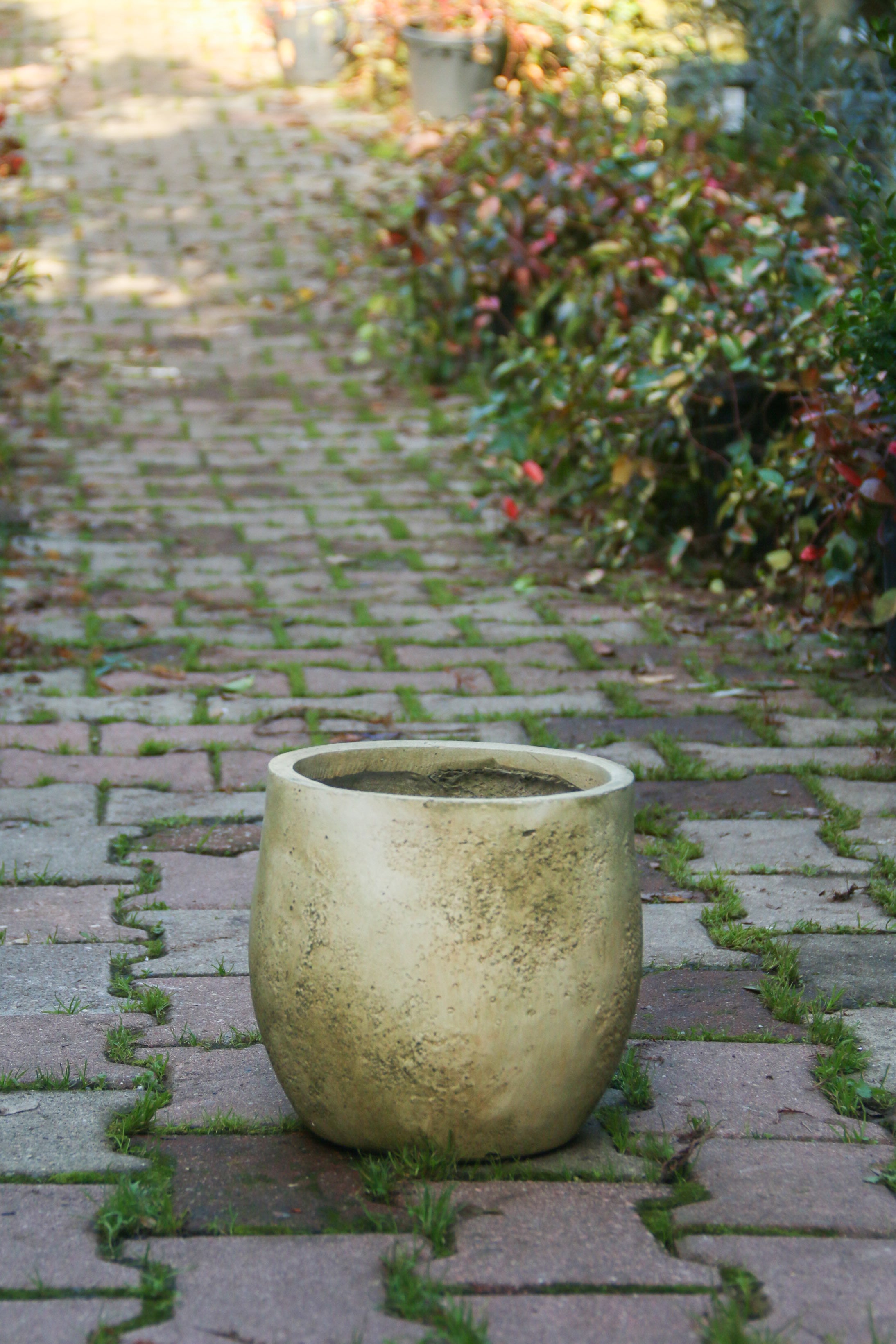 Dallas Fiberstone Saksı