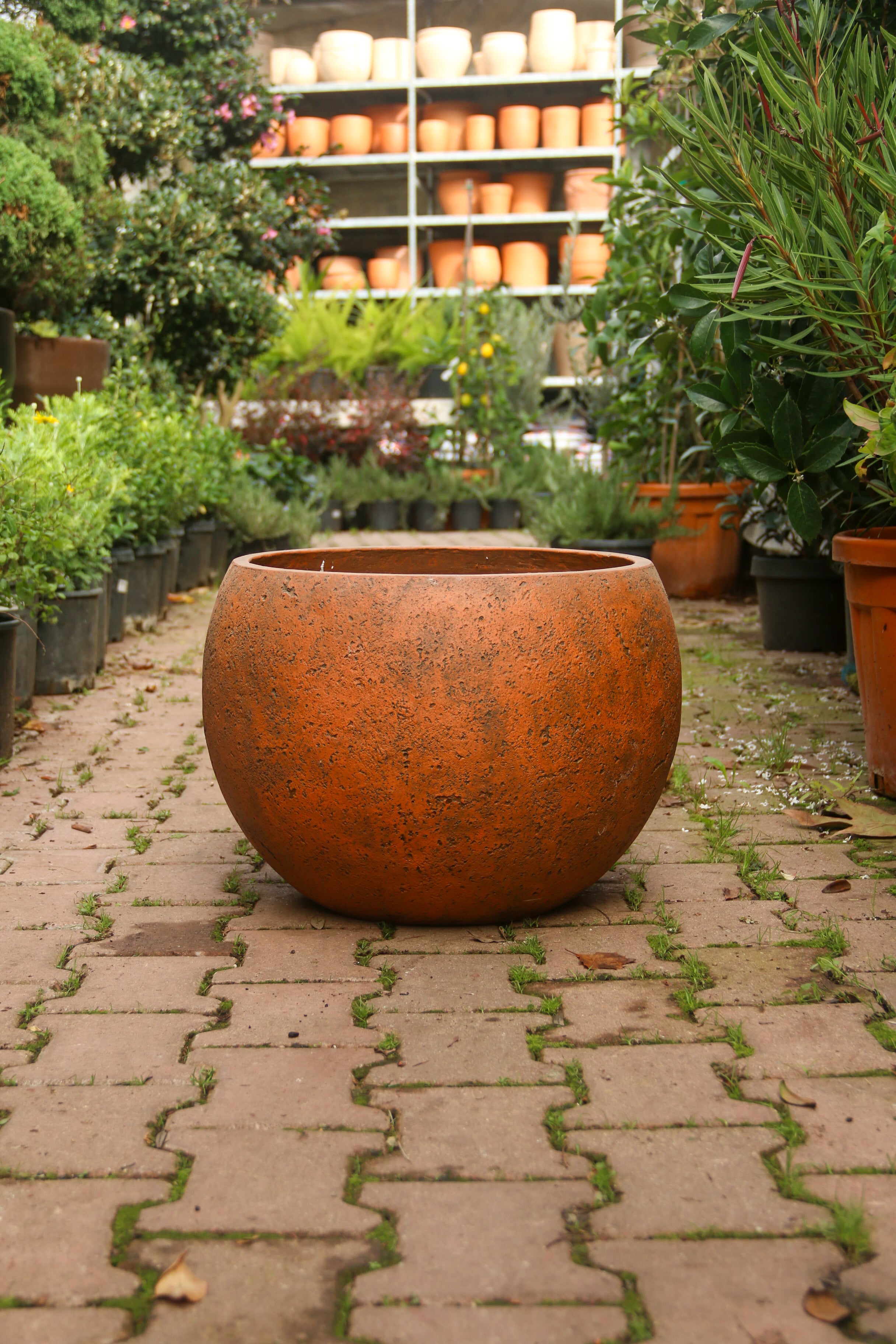 Beaumont Küre Fiberstone Saksı