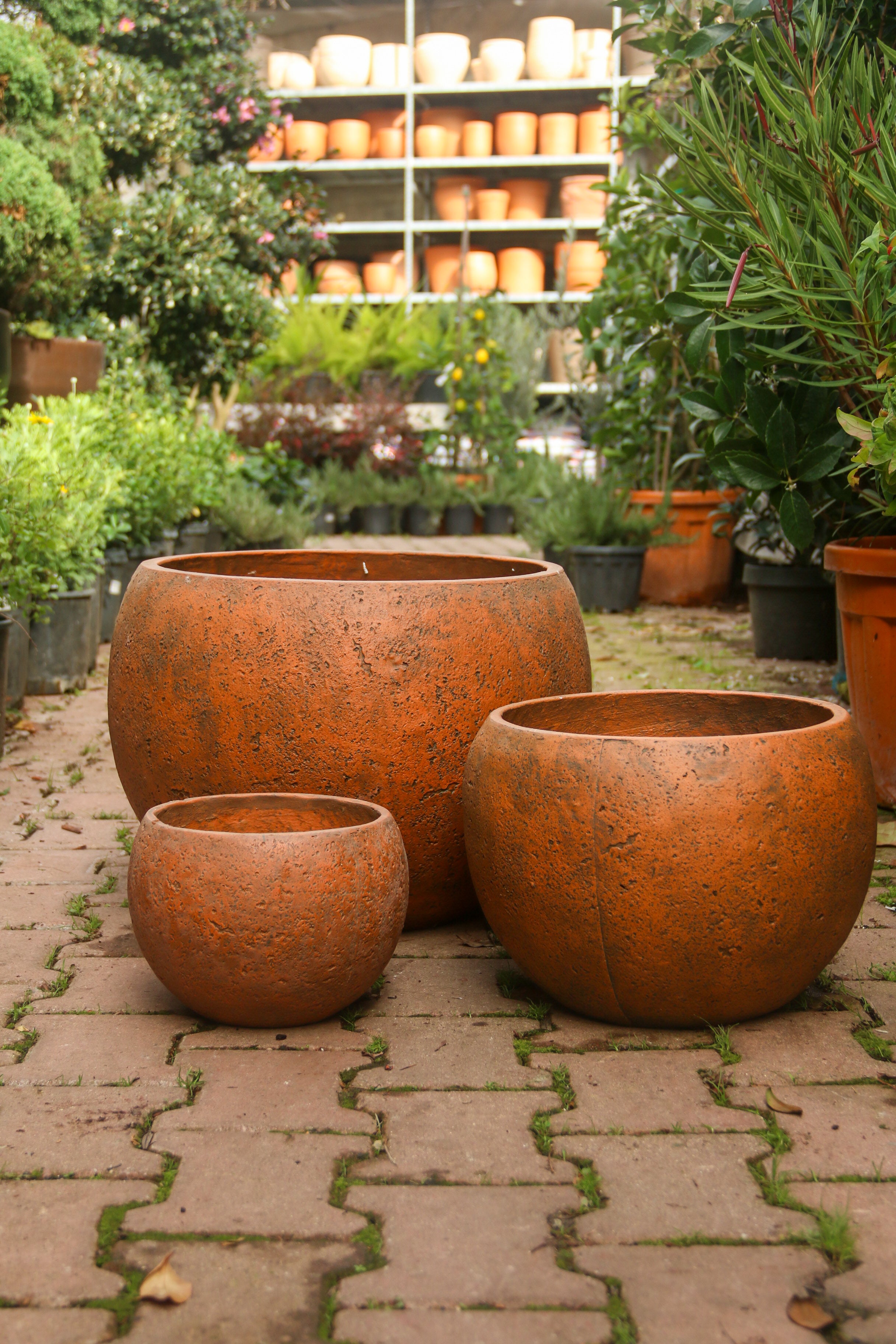 Beaumont Küre Fiberstone Saksı