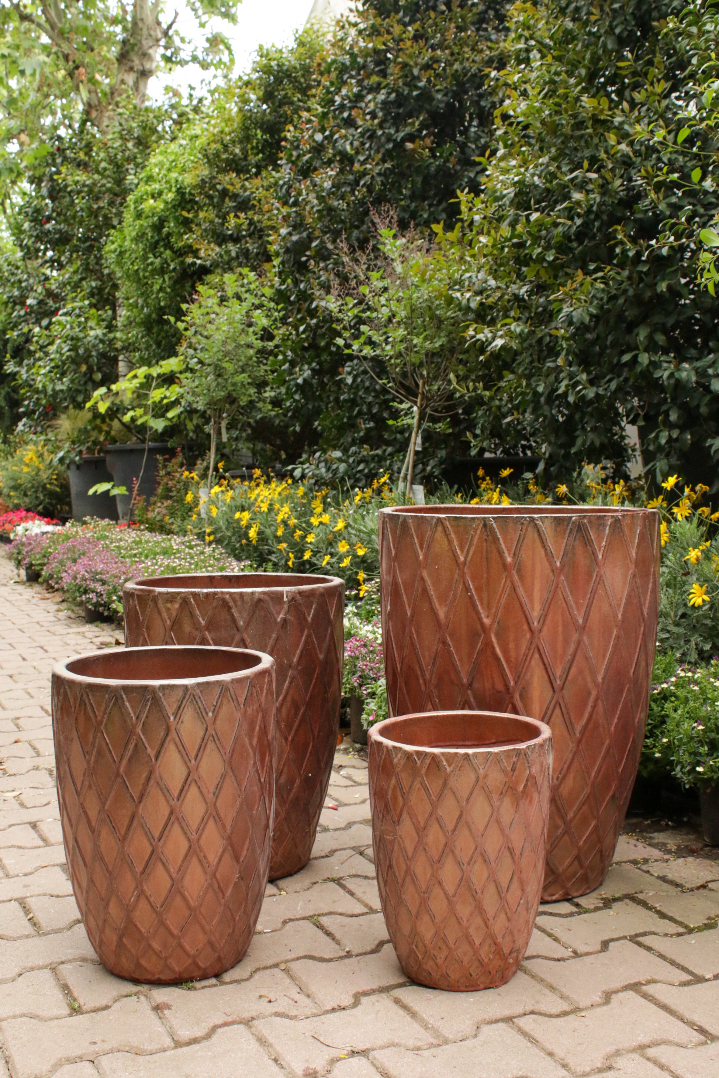 Borneo Saksı (Bronz)