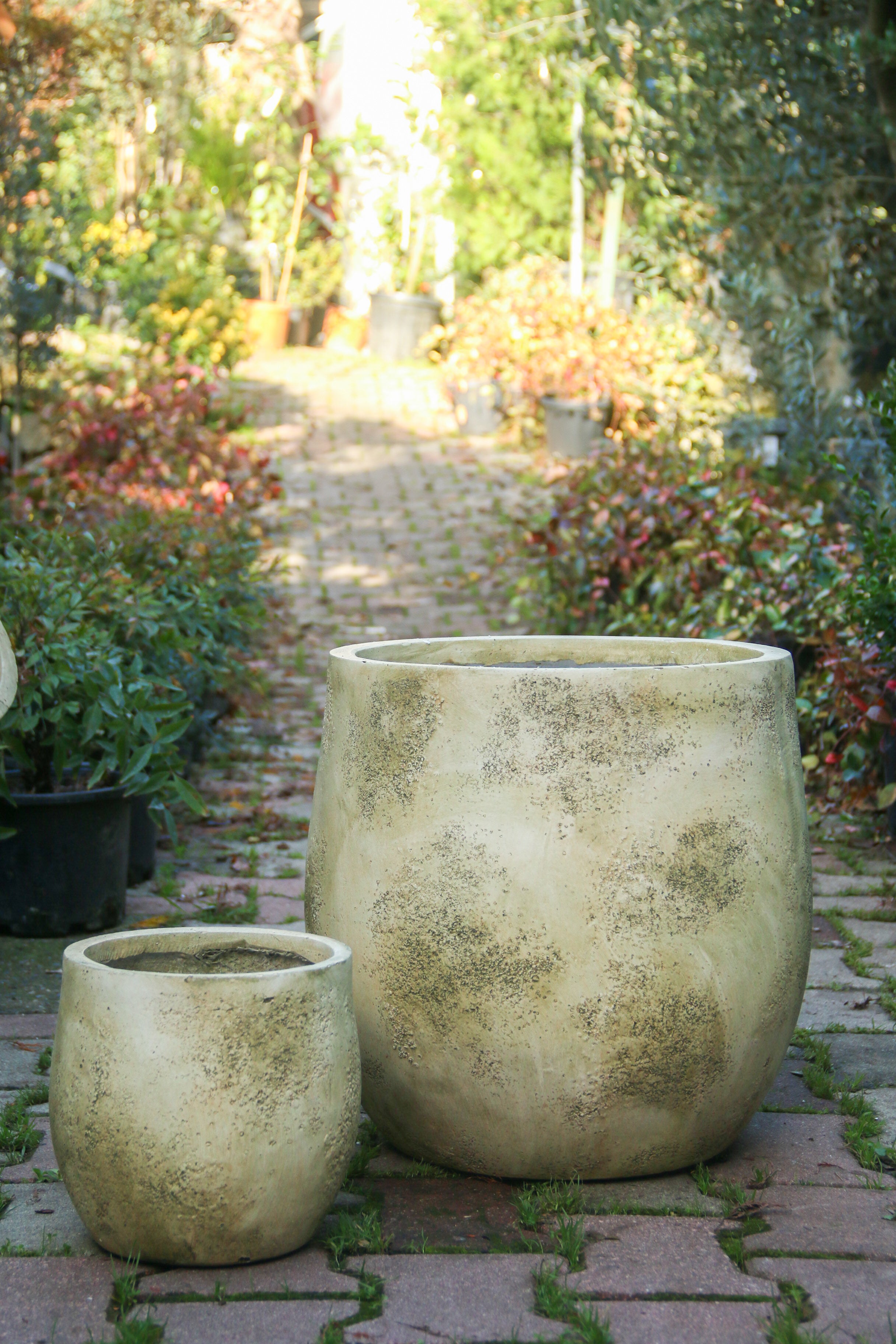 Dallas Fiberstone Saksı