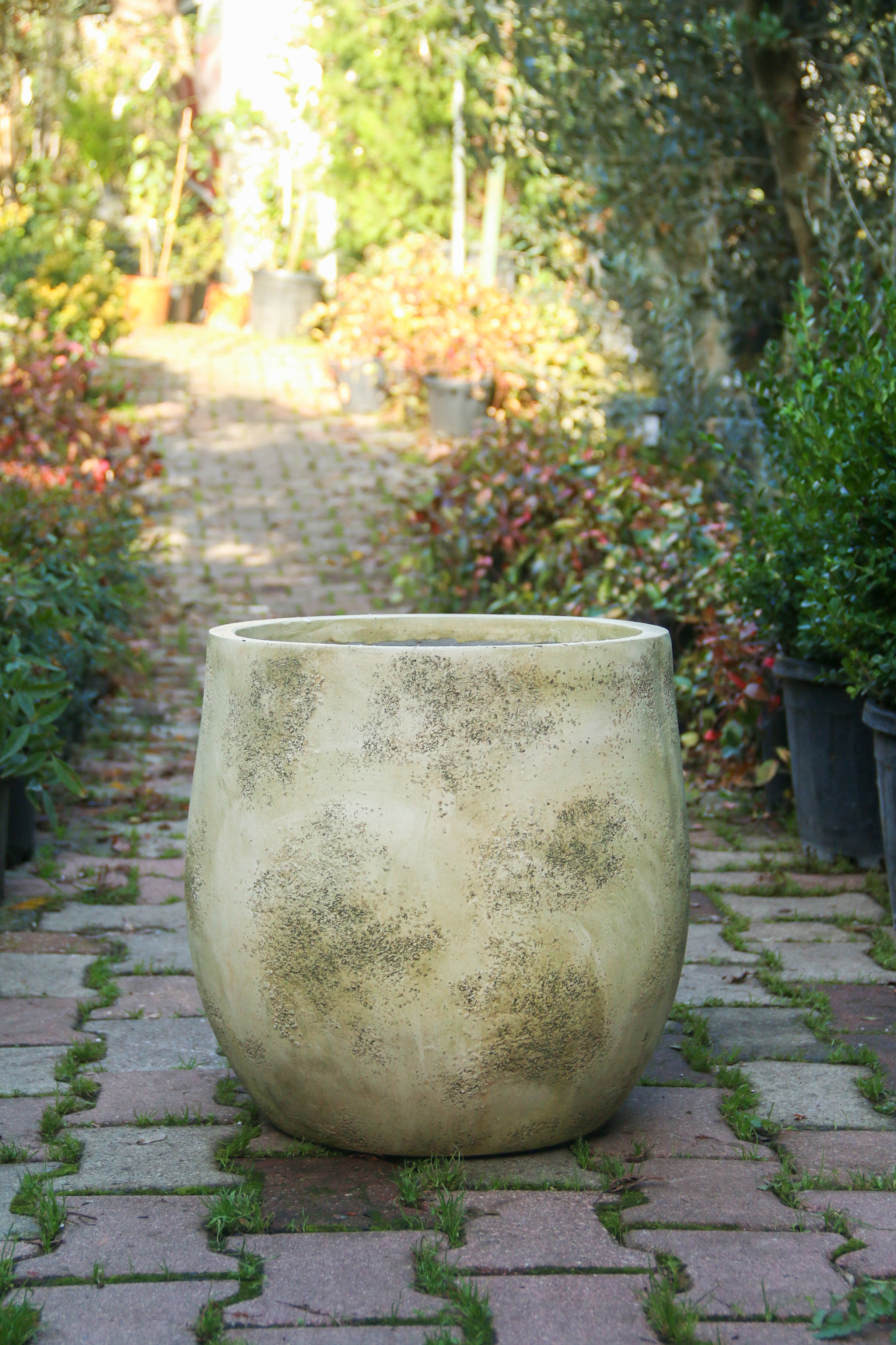 Dallas Fiberstone Saksı