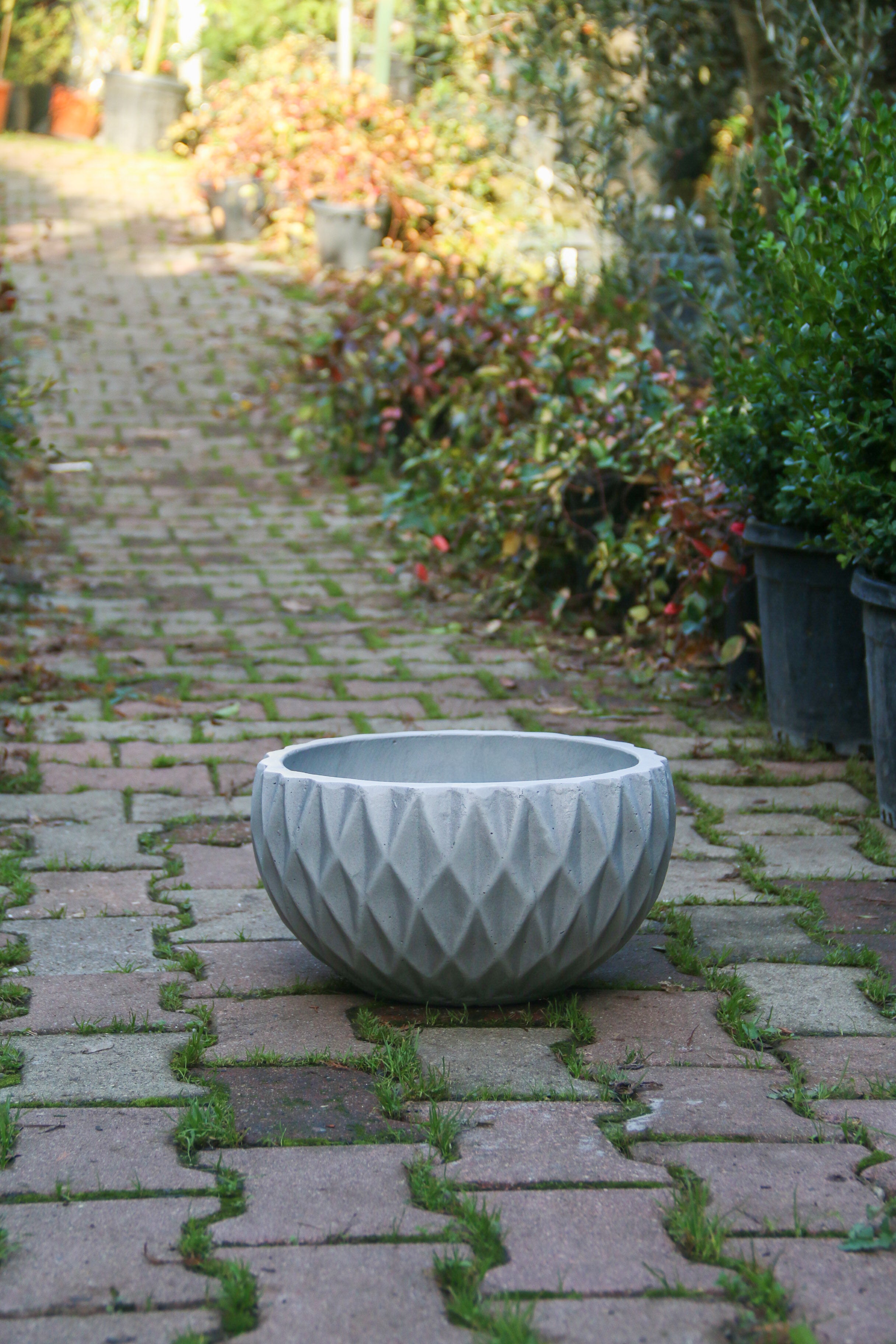 Ontario Fiberstone Saksı Yayvan