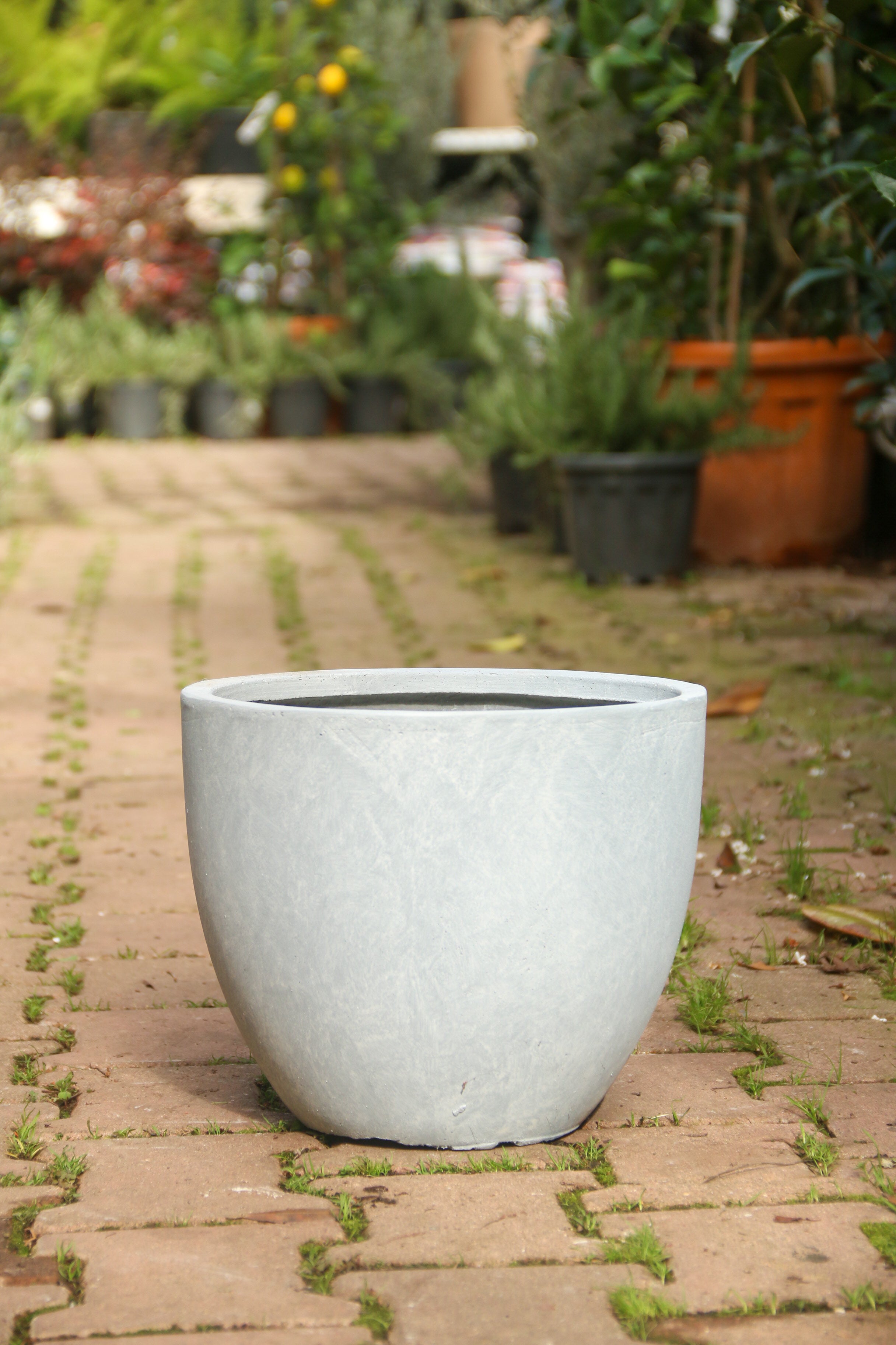 Liverpool Fiberstone Saksı Jesselyn