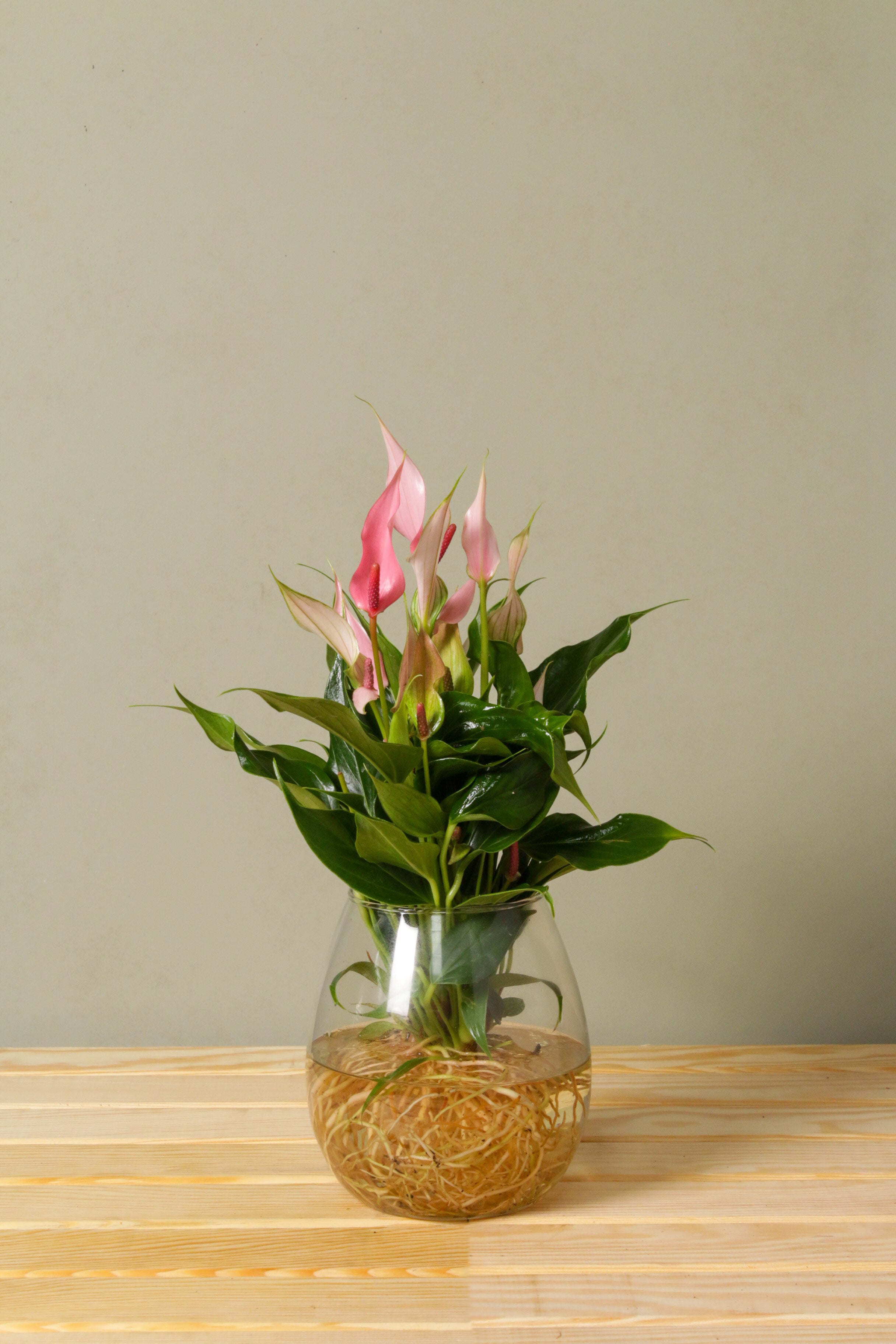 Tofu in Vase
