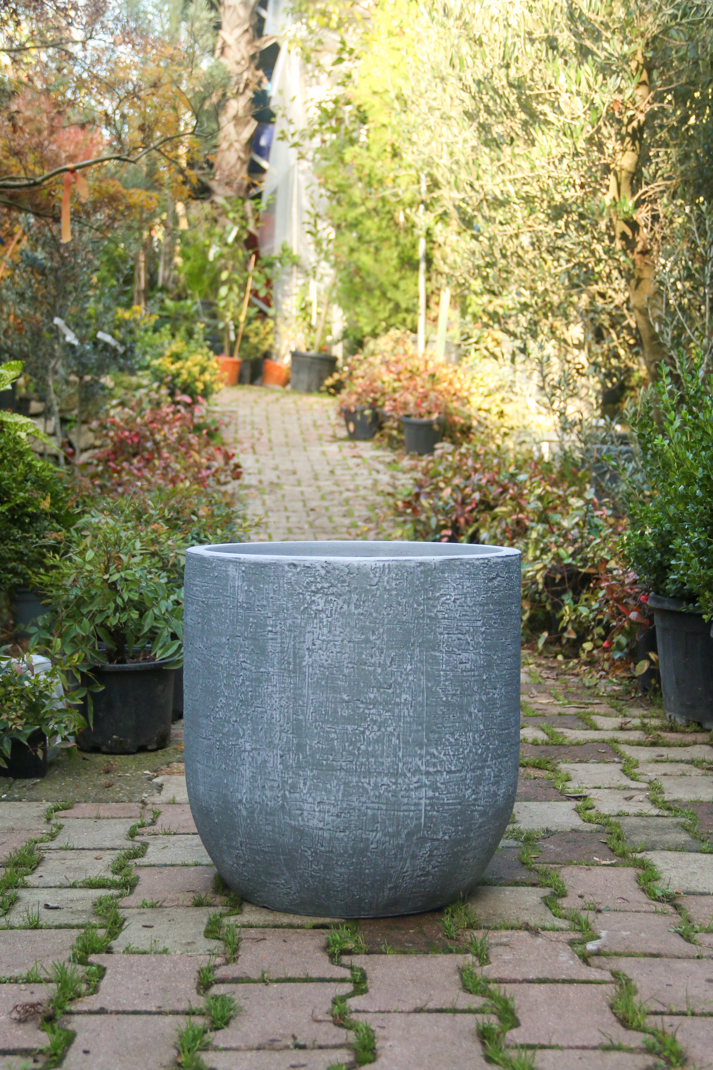 Colorado Fiberstone Saksı