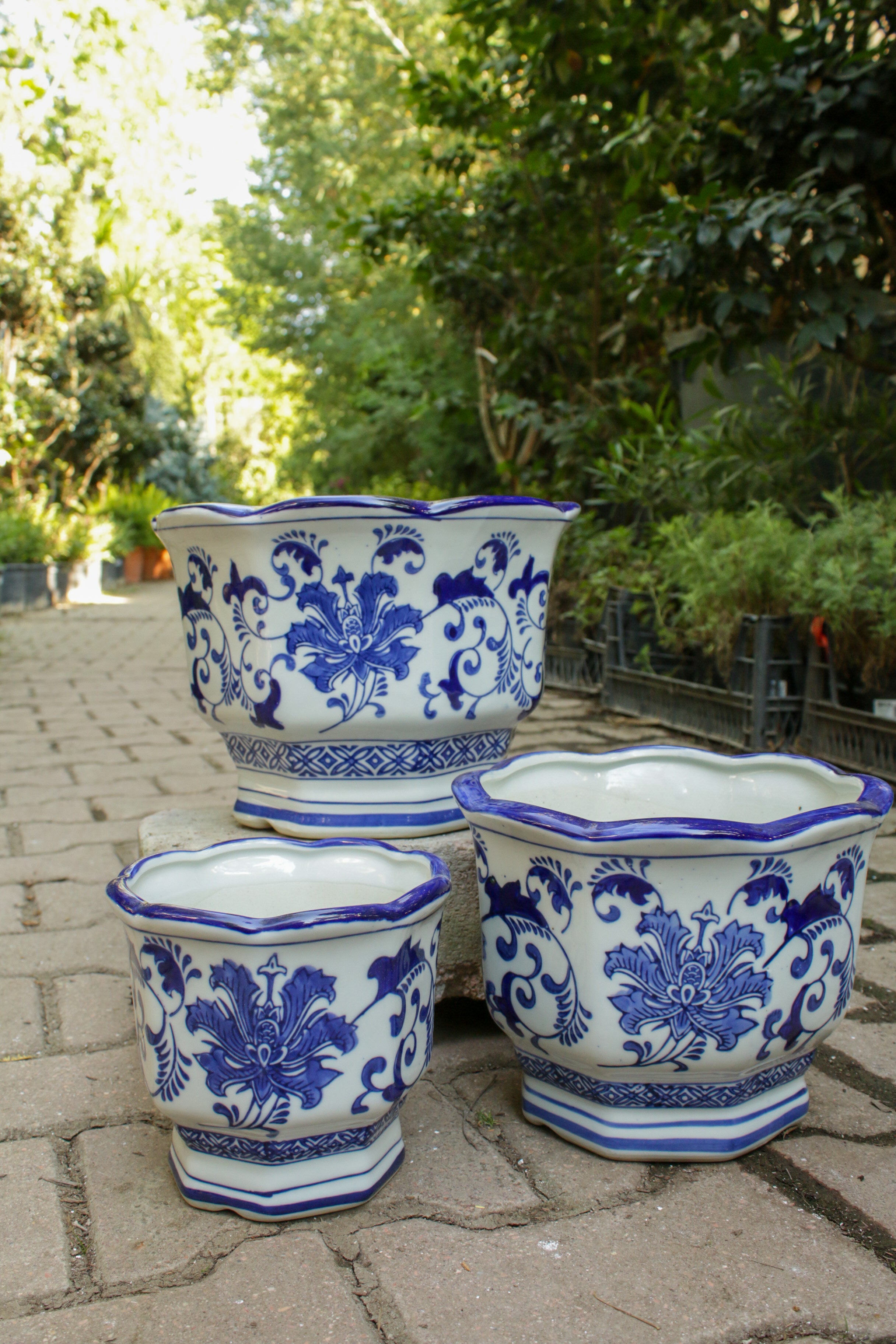 Bleu Blanc Maslak Saksı