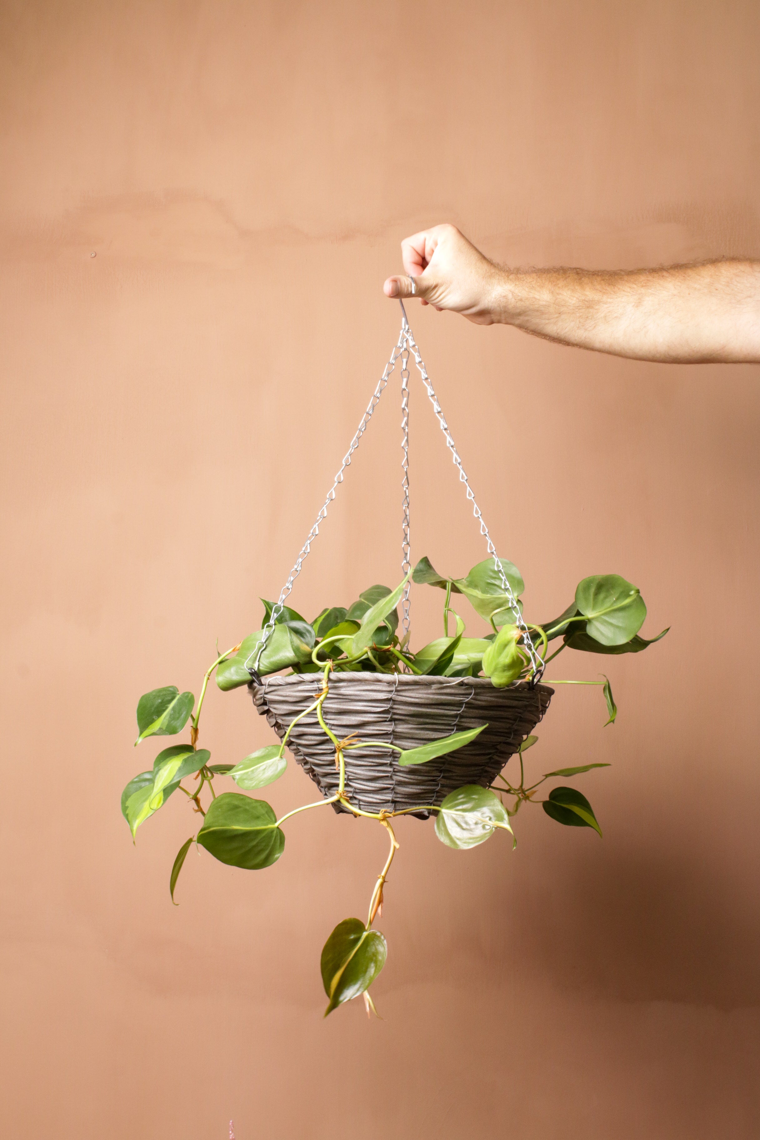 Askılı Saksı 30cm