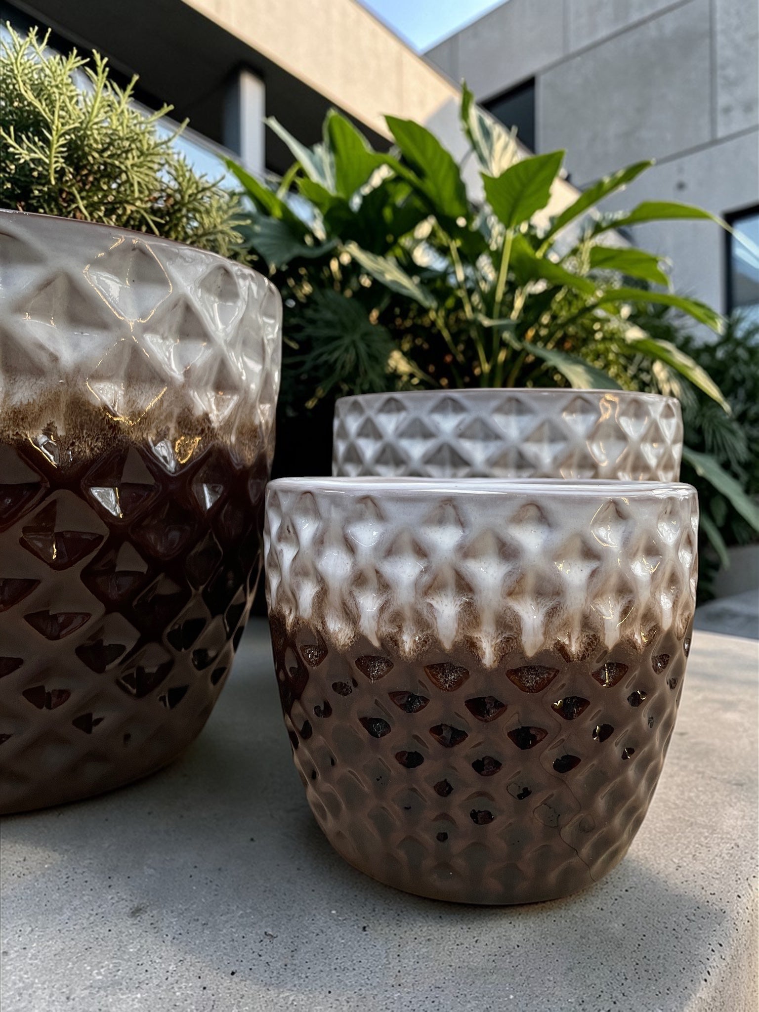 Rustik Seramik Saksı Seti