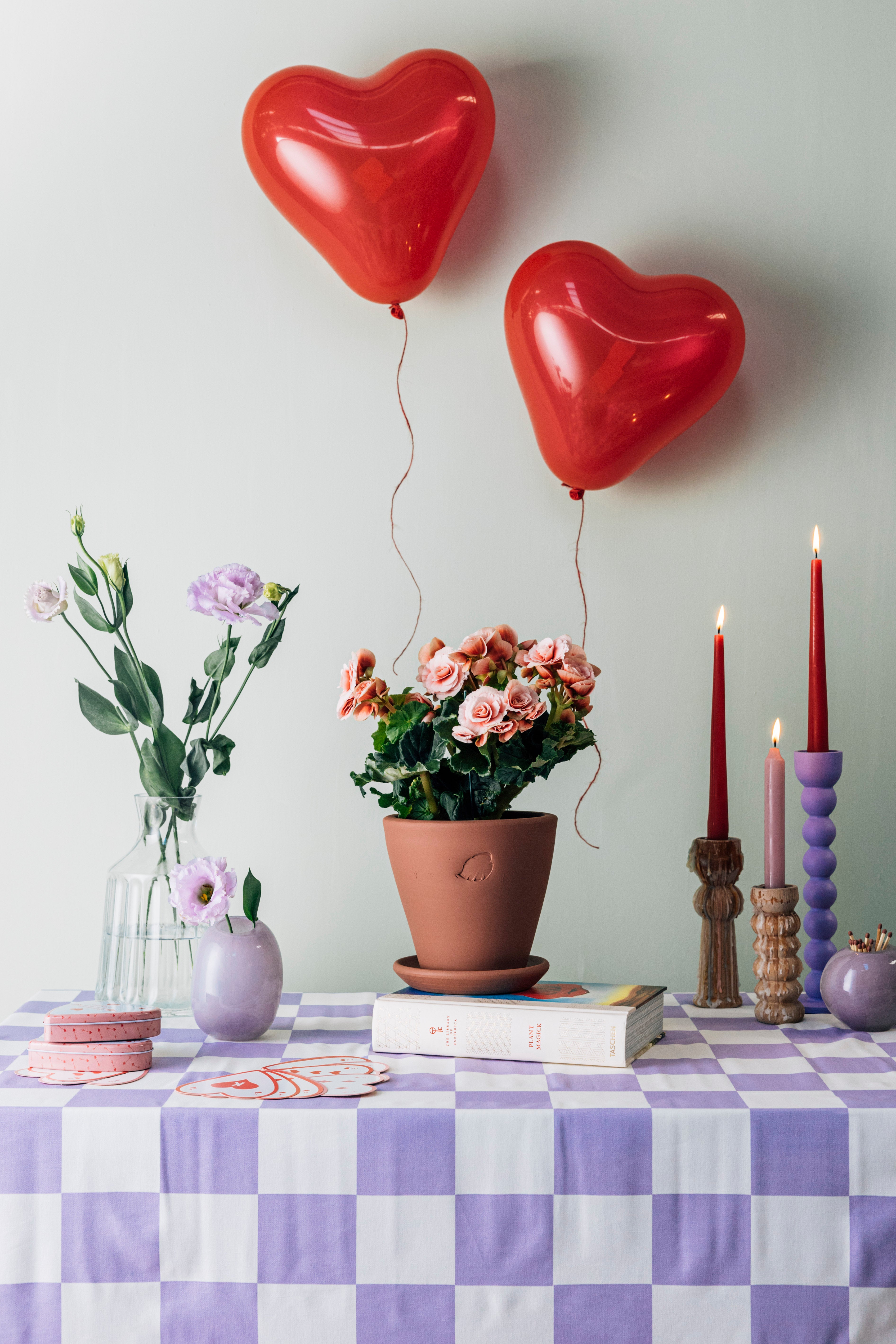 Candy Sunset Çömlek Saksılı