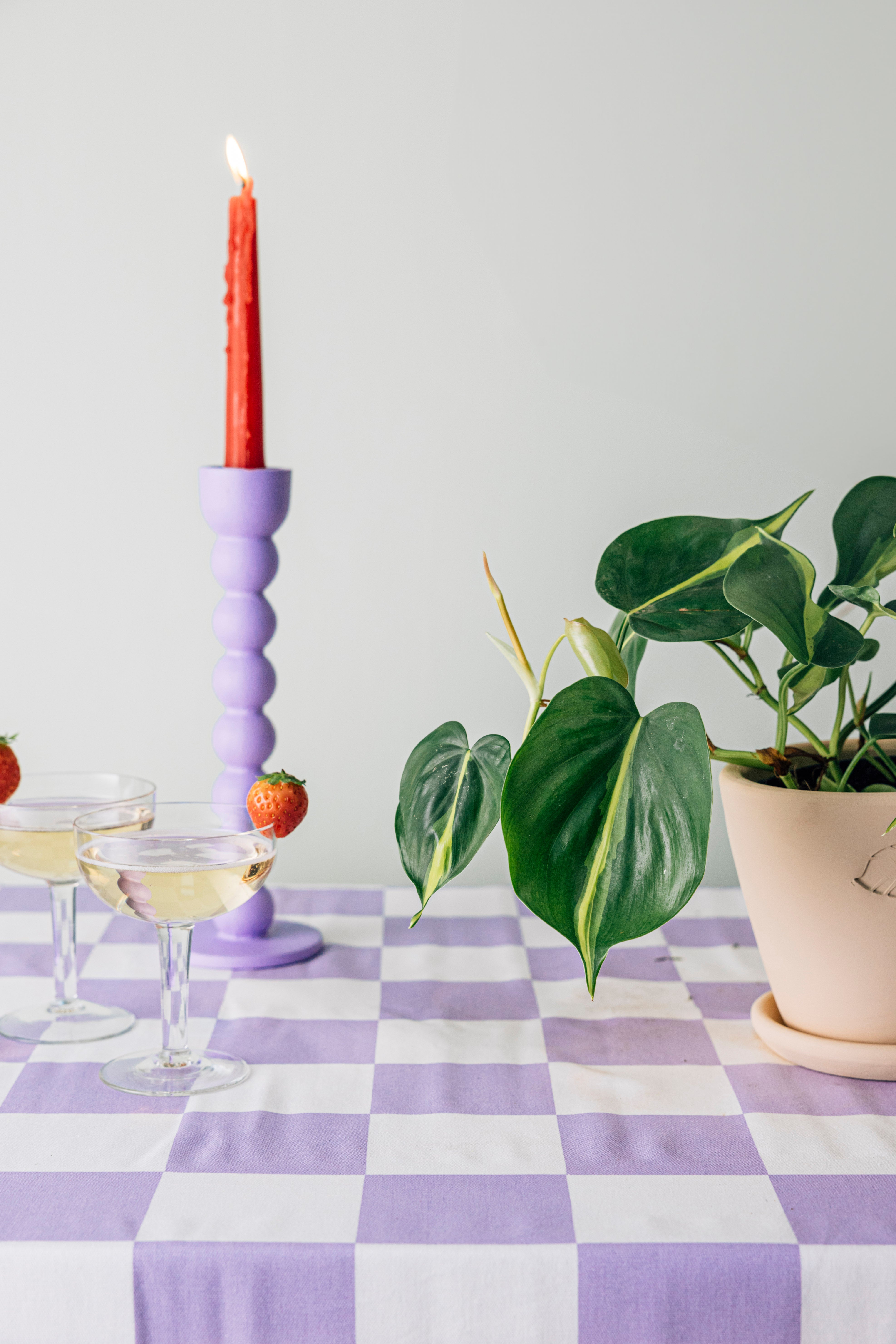 Pafi Sahara Çömlek Saksılı