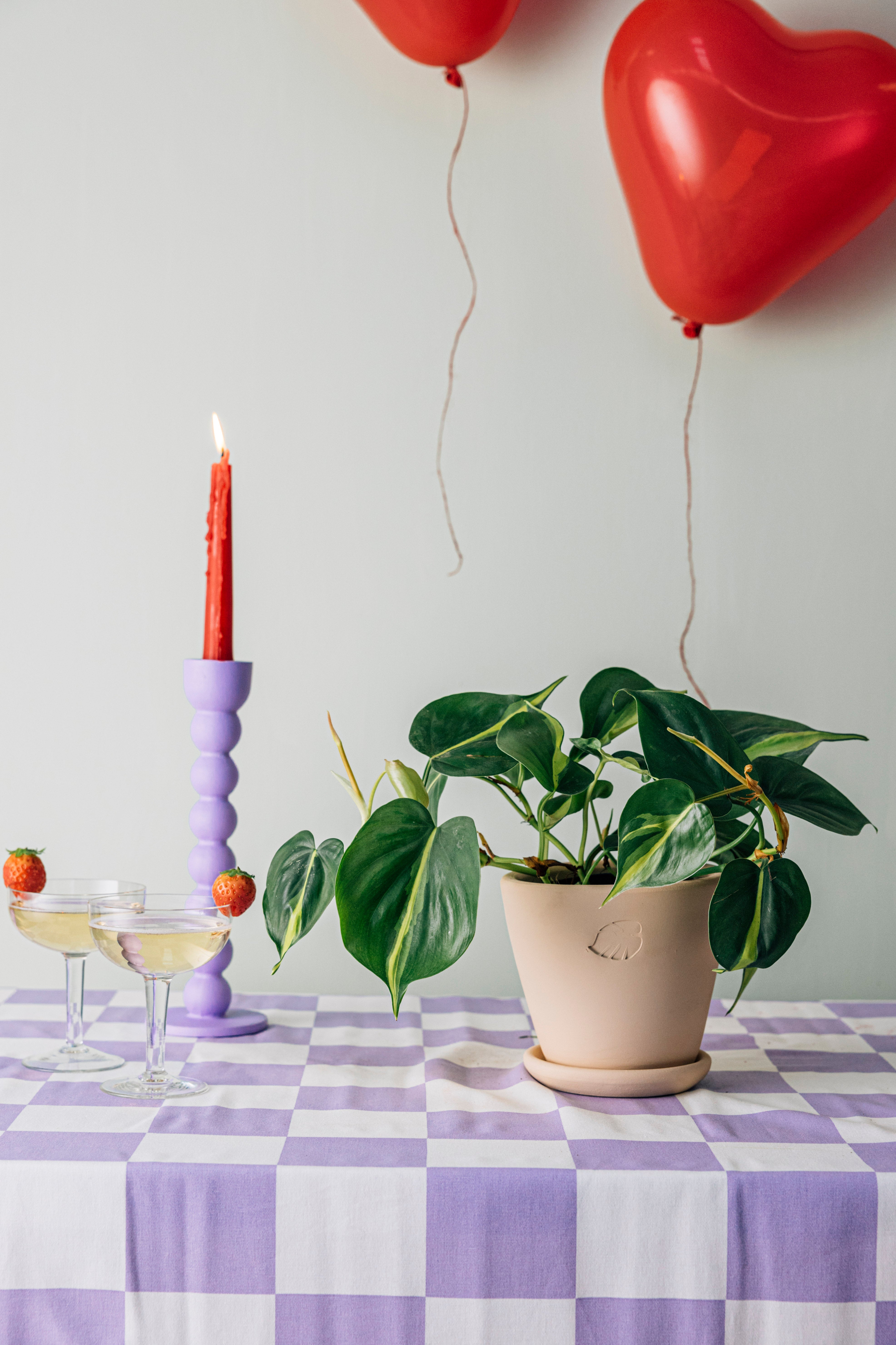 Pafi Sahara Çömlek Saksılı