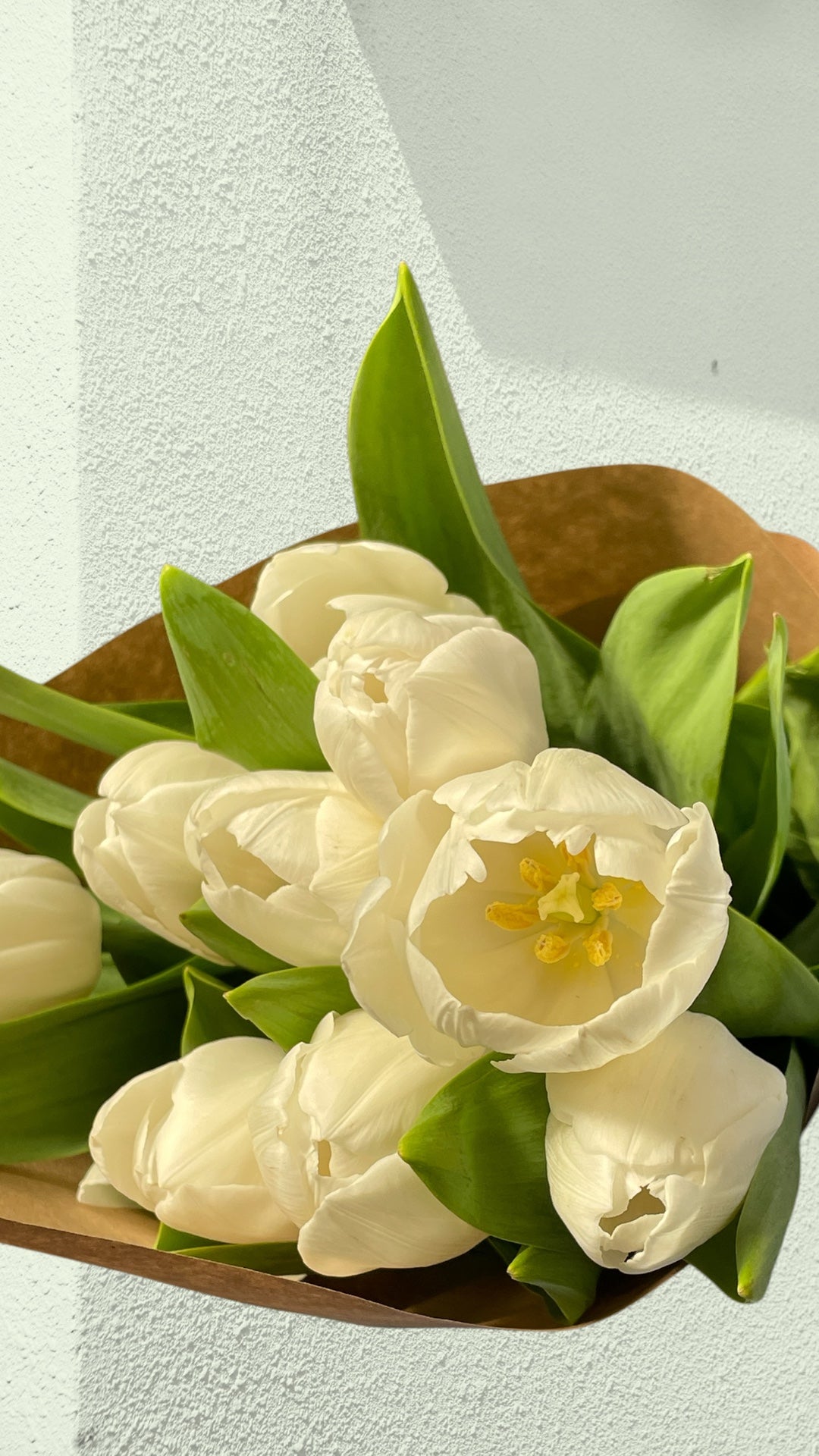 White Tulipa (20’li Beyaz Lale Buketi)