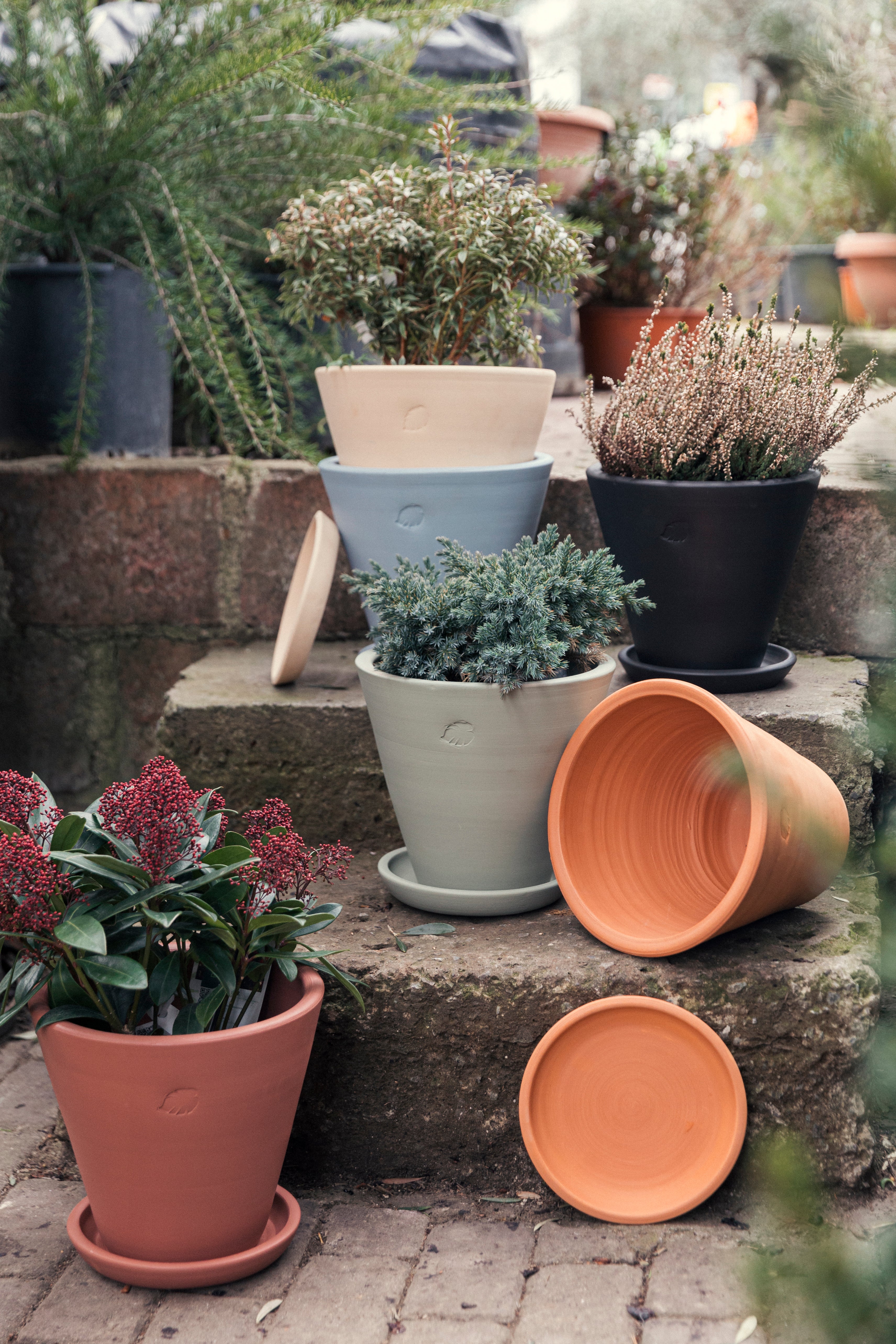 Clay Saksı 26cm (Tabaklı)