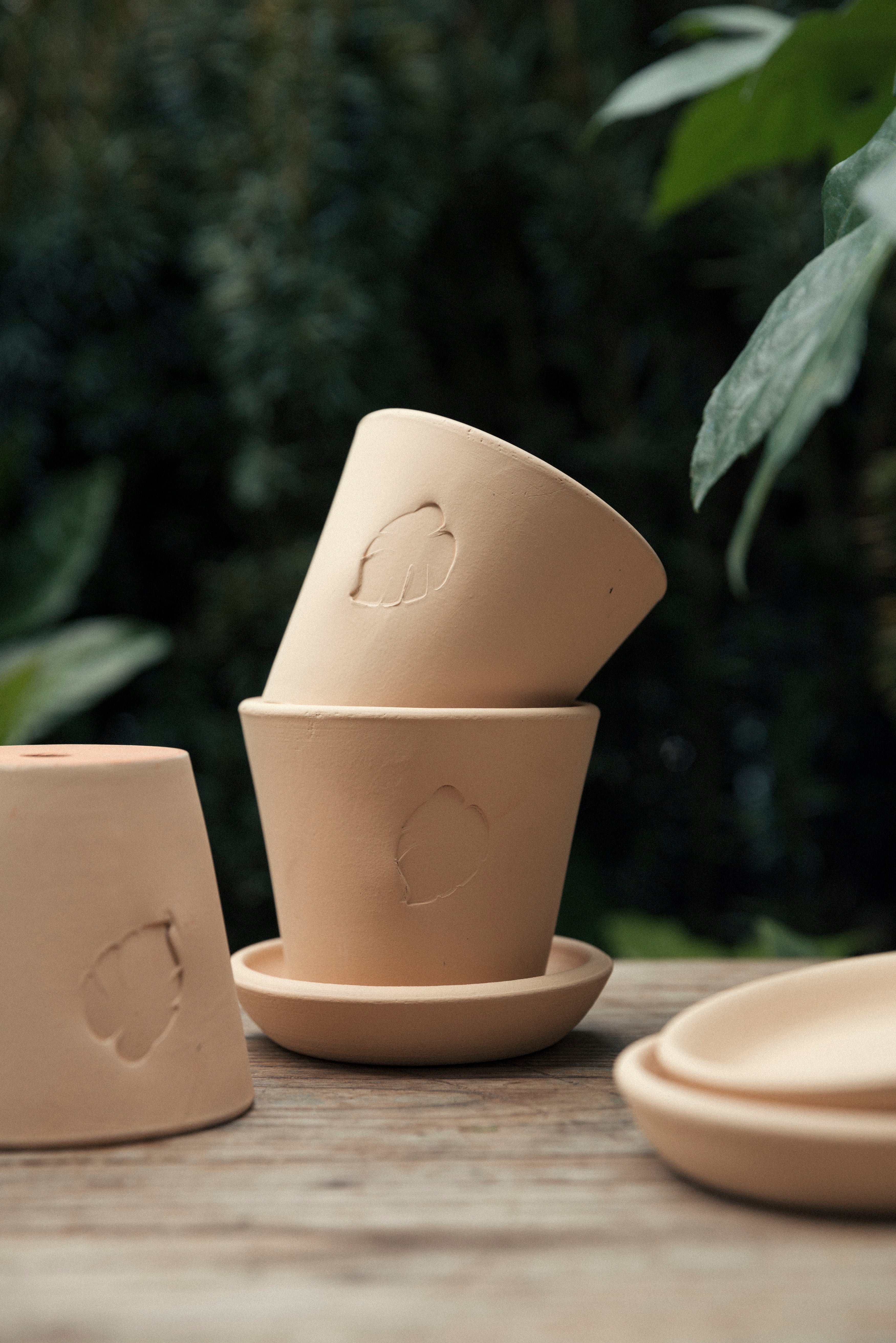 Sahara Saksı 10cm (Tabaklı)