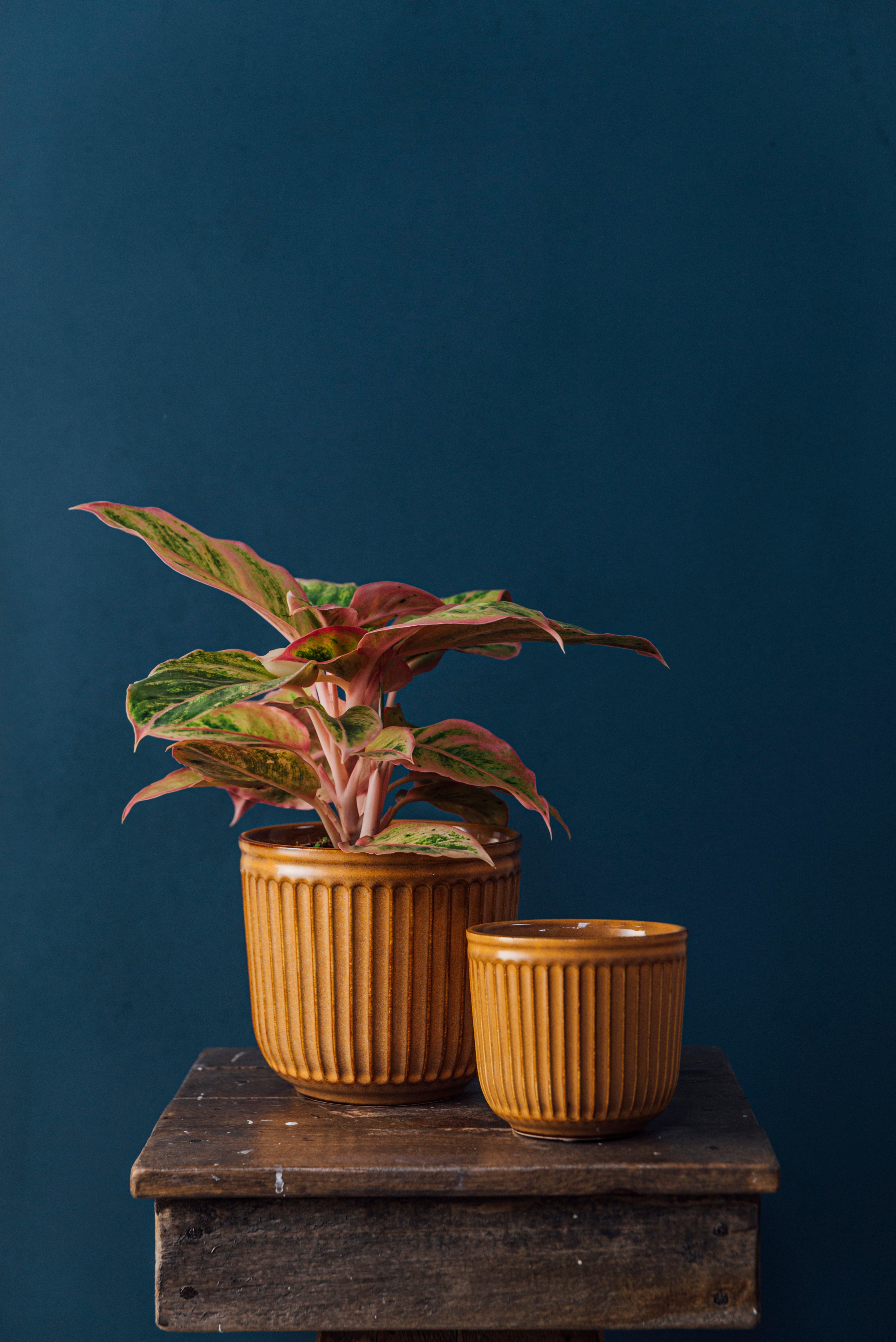 Abel Flower Pot Set of 3