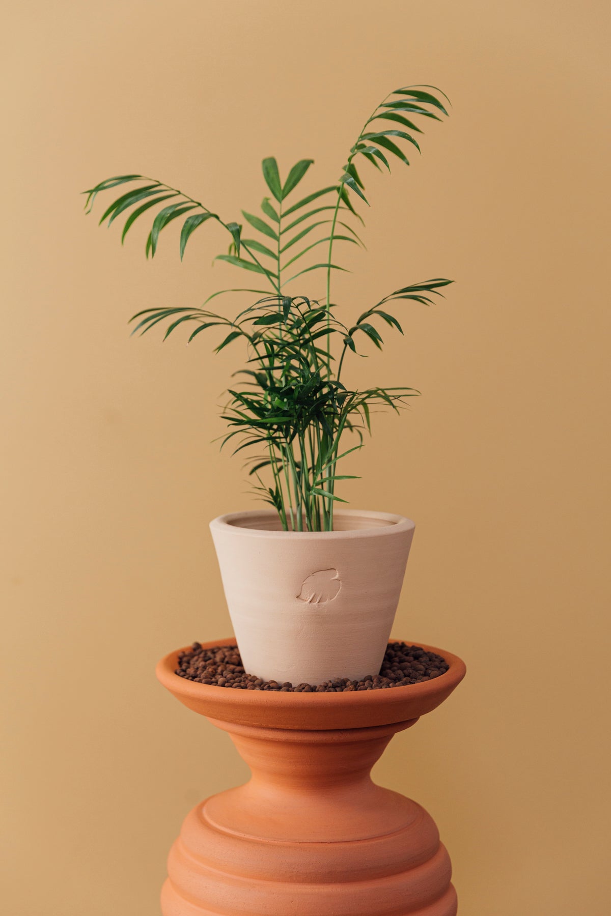 Zen