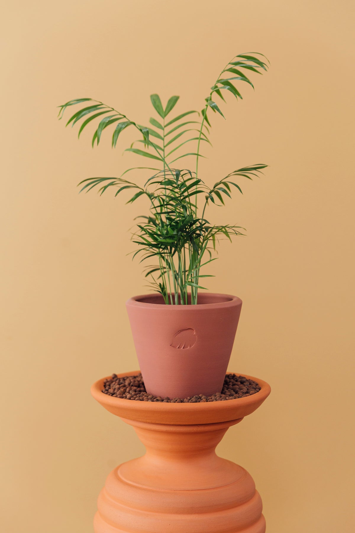 Zen