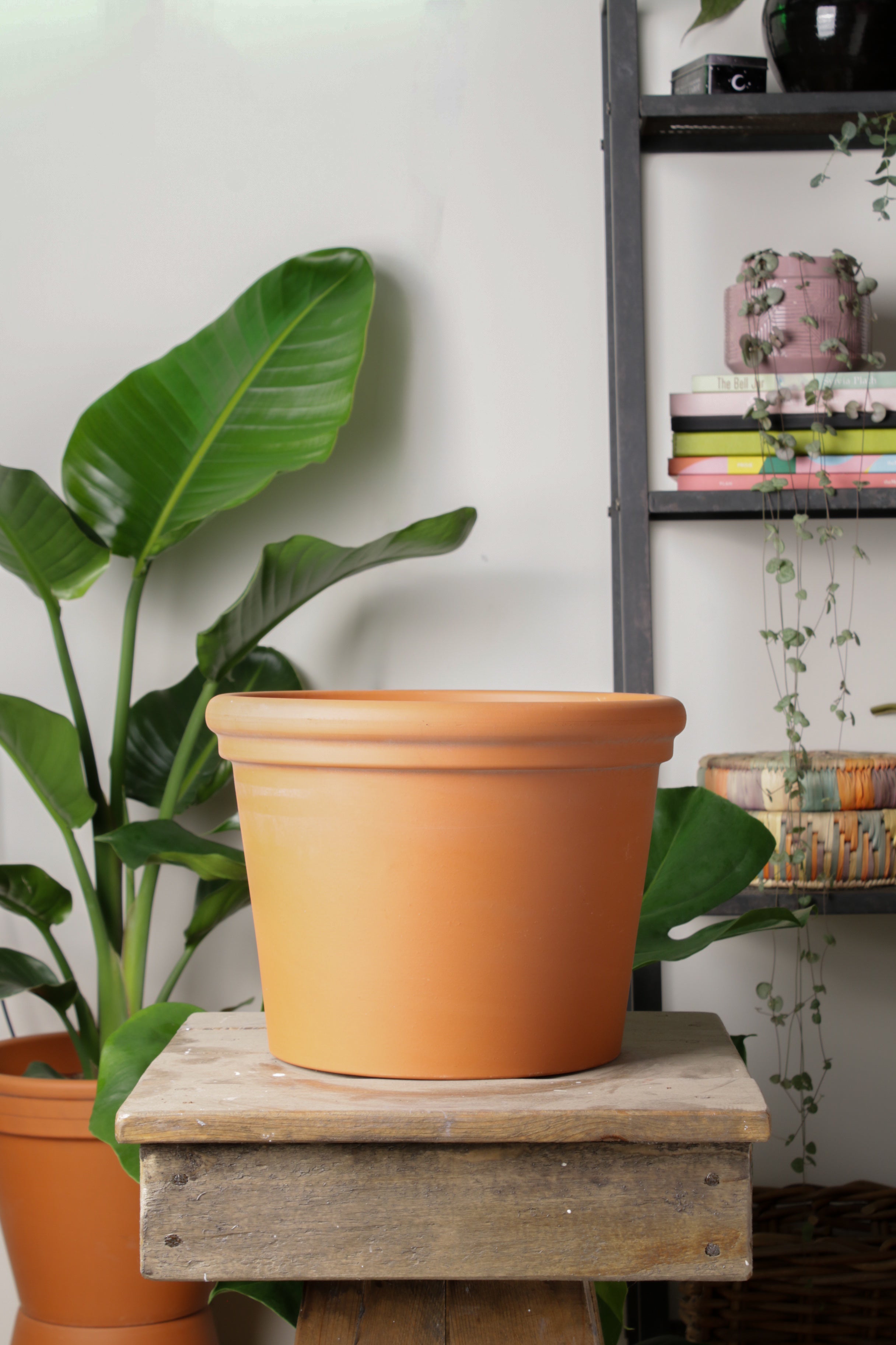 Büyük Saksı Modelleri ile Bitkilerinizi Şık Şekilde Sergileyin