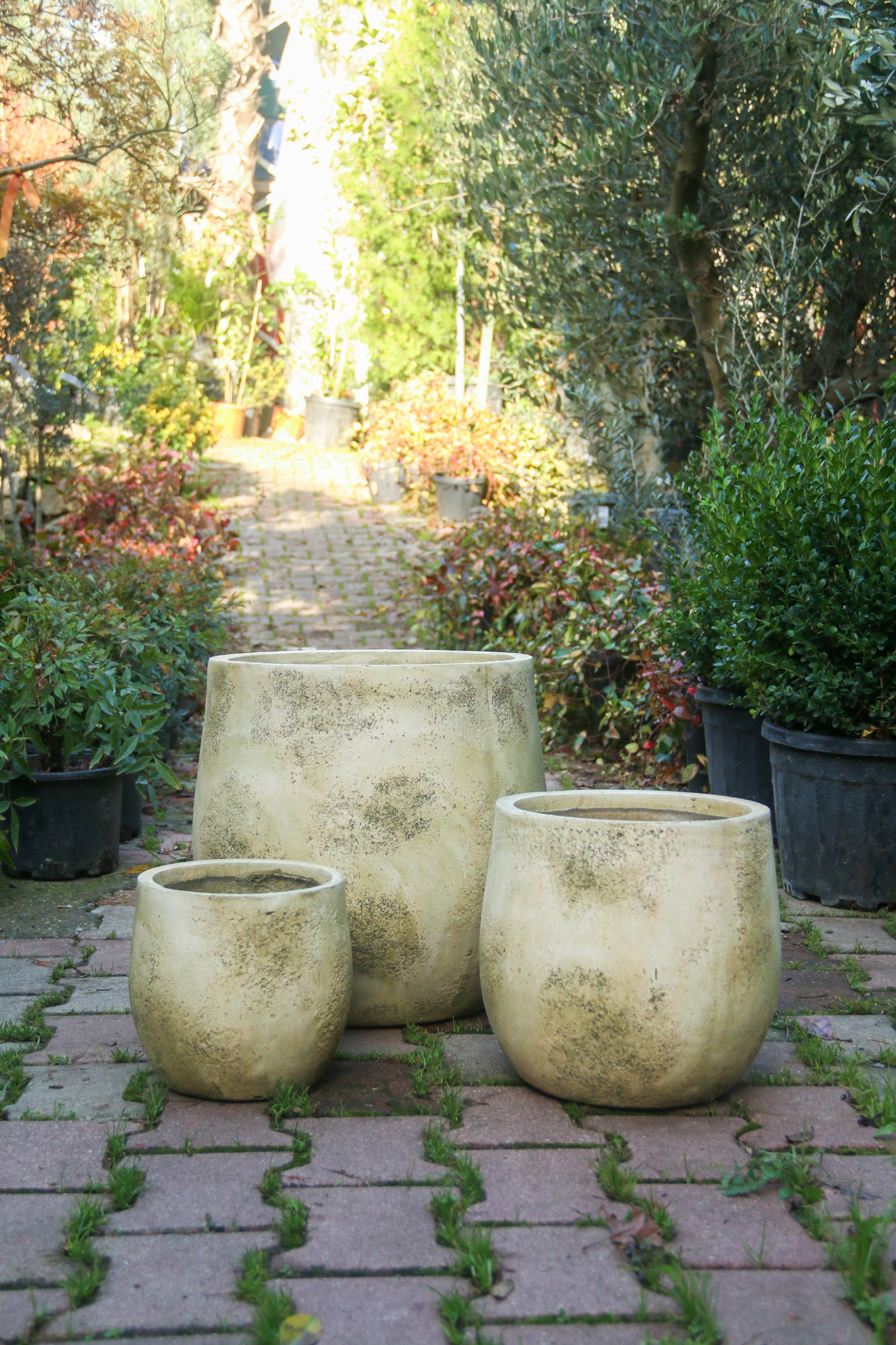 Dallas Fiberstone Saksı