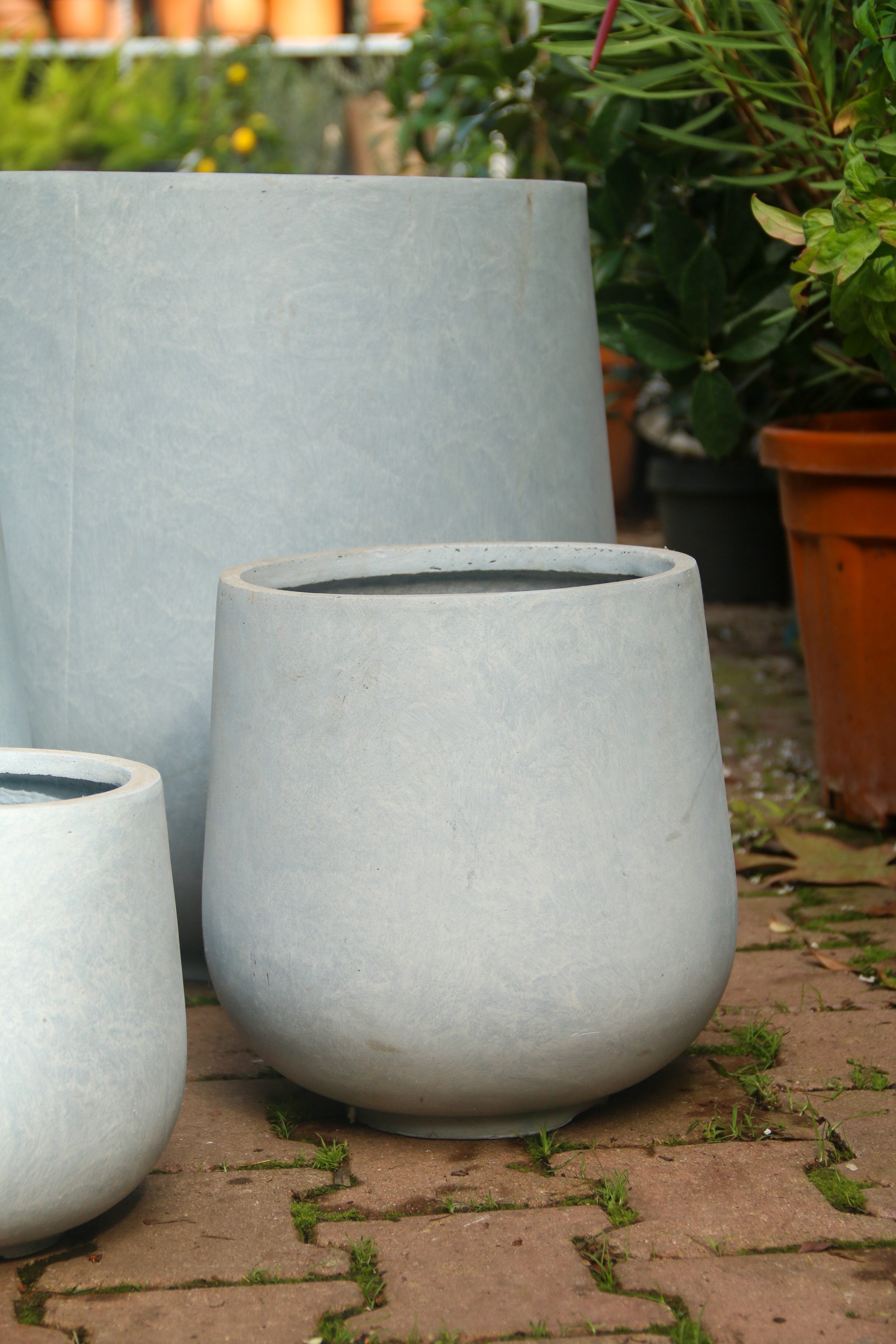 Liverpool Fiberstone Saksı Pax