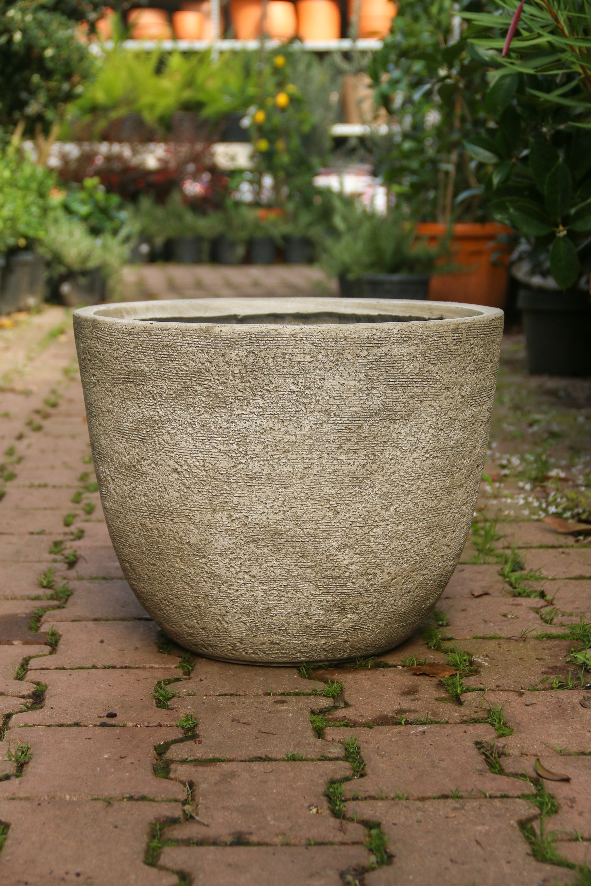 Darwin Fiberstone Saksı Bej